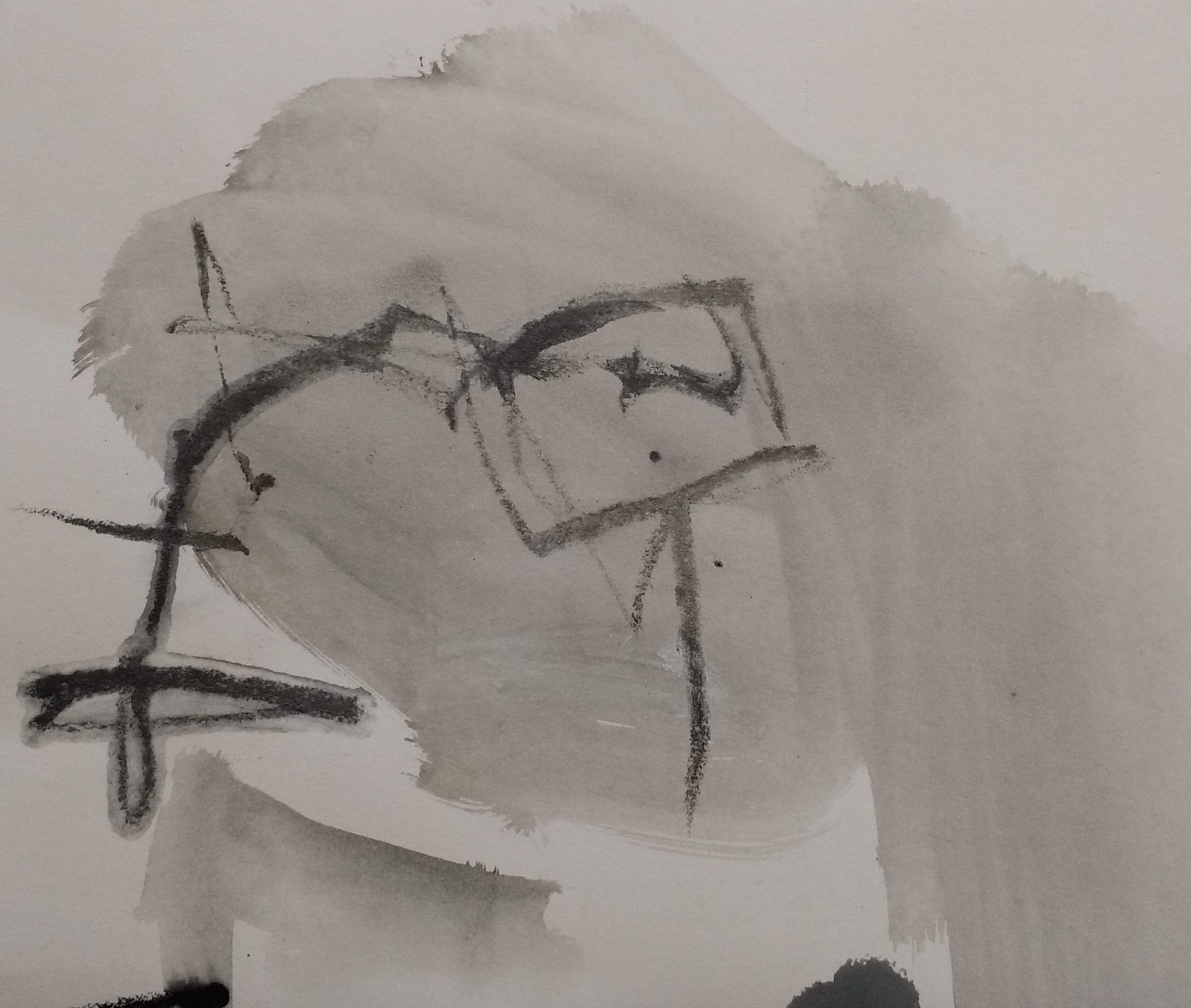 Wash of soluble graphite overlaid with expressive graphite drawings