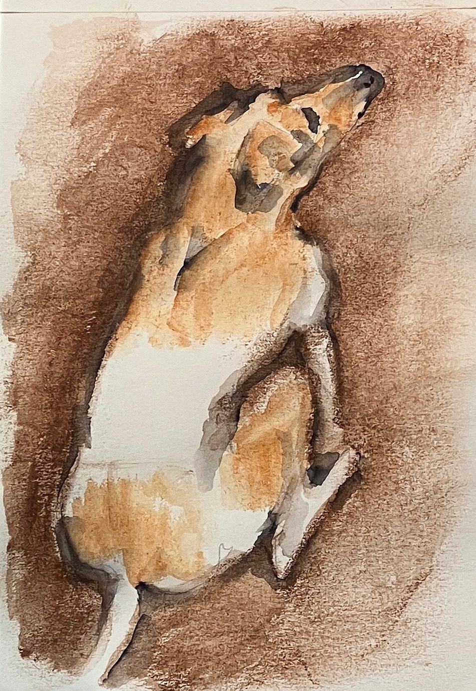 Sitting terrier from behind, expecting a treat