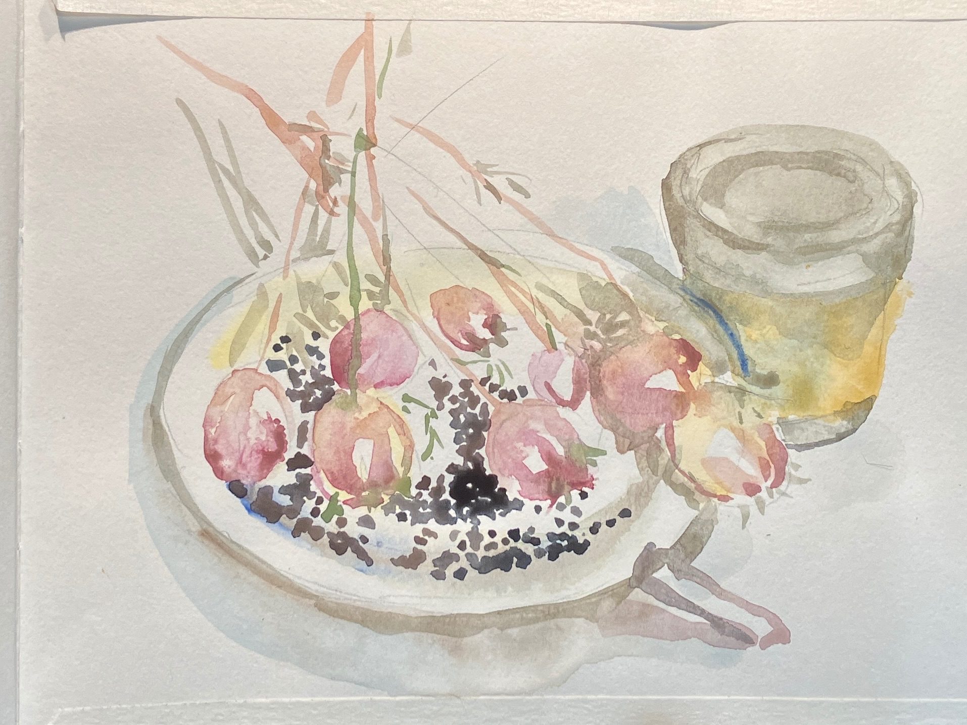 Watercolour: seeds and seedheads and little pot.