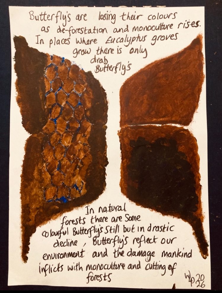 The artist has done a simple two sided butterfly’s wing there is no body of the insect and this is just brown on the right side of the top wing on the bottom right wing is a small patchy blue green colour but it’s hard to see as it’s muddy and dark not reflecting any light. On the left side of the Butterfly’s wing there is brown wing mirroring the shape the filling of the wing is also brown but with a blue net shape that is six sided shapes with thin blue lines of ultramarine this is also hard to see but makes a perceptible grid pattern in the dark brown. There are words above and below the butterfly that states “ Butterfly’s are losing their colours as deforestation rises, in places where Eucalyptus groves grow there is only drab butterfly’s. In forests there are some colourful butterfly’s still, but in drastic decline. Butterflies reflect our environment and the damage mankind inflicts in its monoculture and cutting of forests” title: Butterfly’s are mirrored reflections of the environment right?