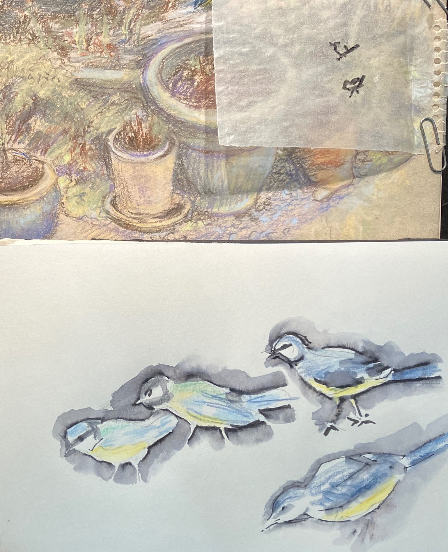 Pond drawing and birds detail sketch