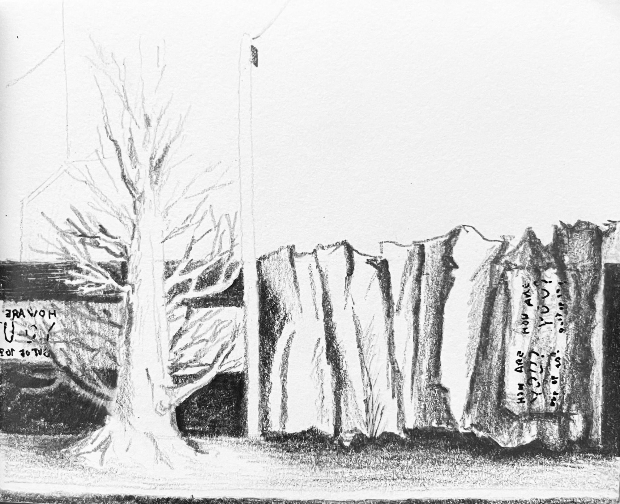 Pencil drawing of tree and street wall scene with wall on the right folding like paper and a dark doorway or space on the right