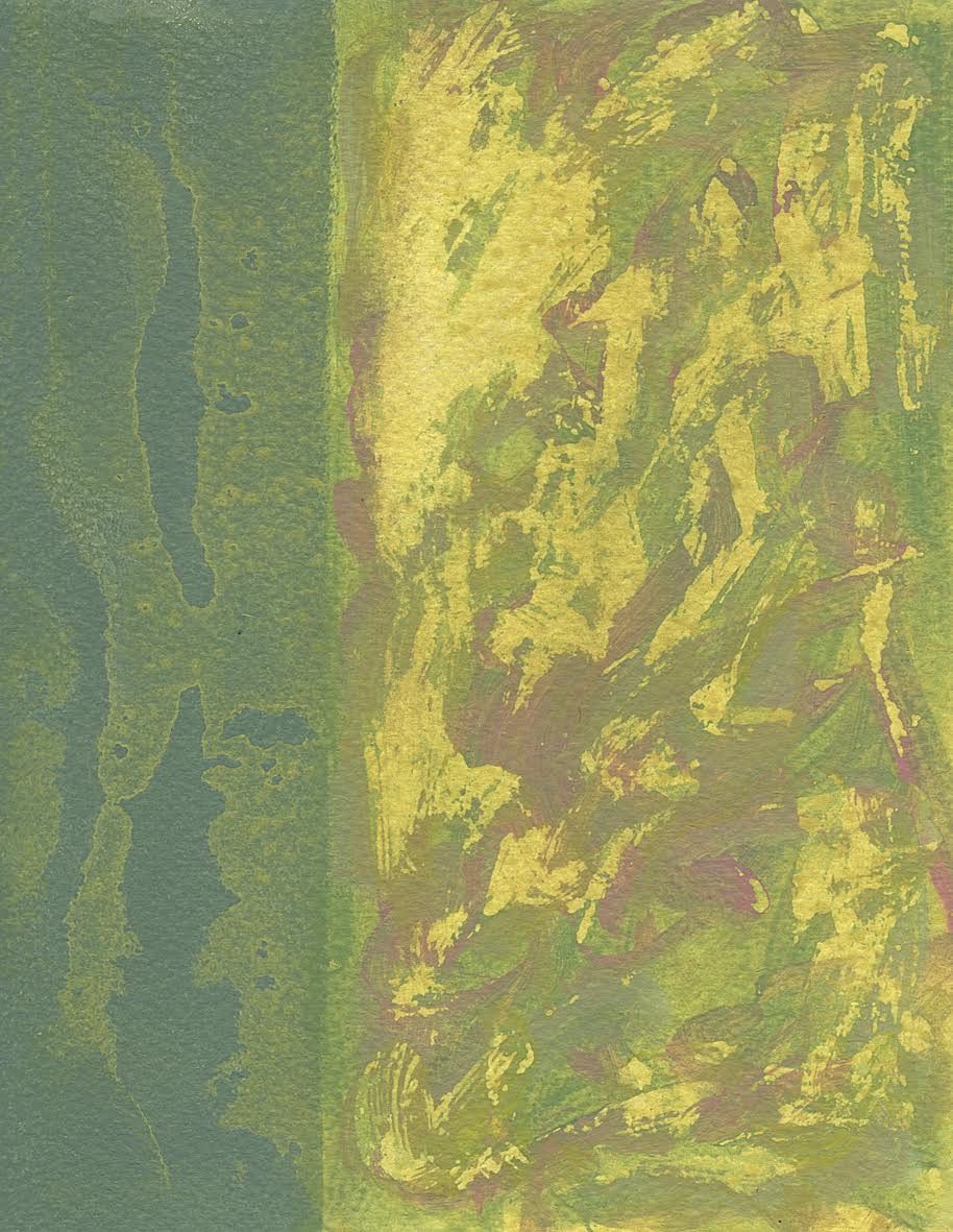 Acrylic on watercolour paper. Size 20 cm Height x 15.5 cm Width. Painted in two columns.  The one on the left is 5cm wide in a dark green, with lemon splashing over and the second is under painted in lemon with green and red brush marks. The paint was sponged off just before it dried to expose the lemon.