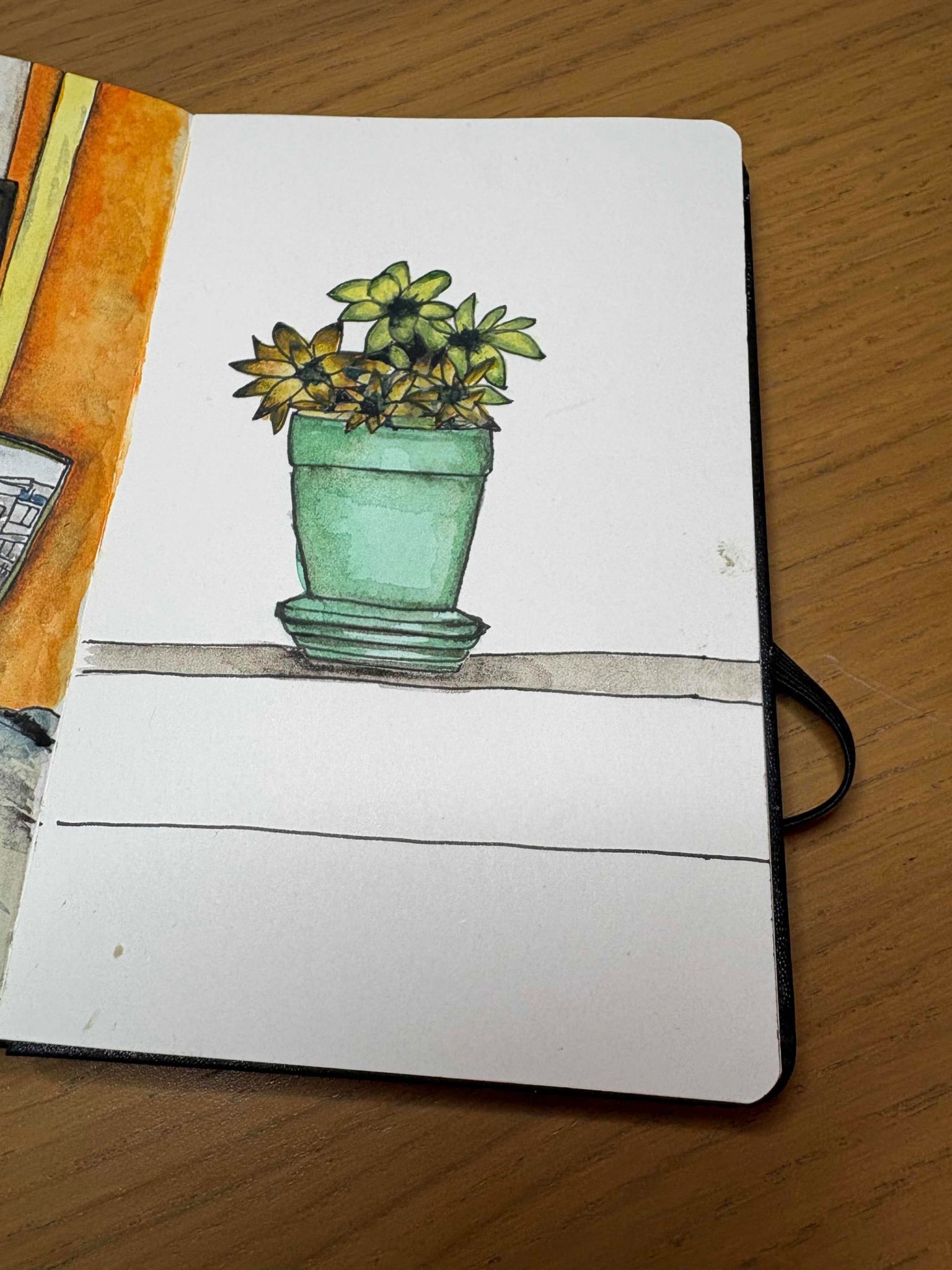 Watercolour plant pot