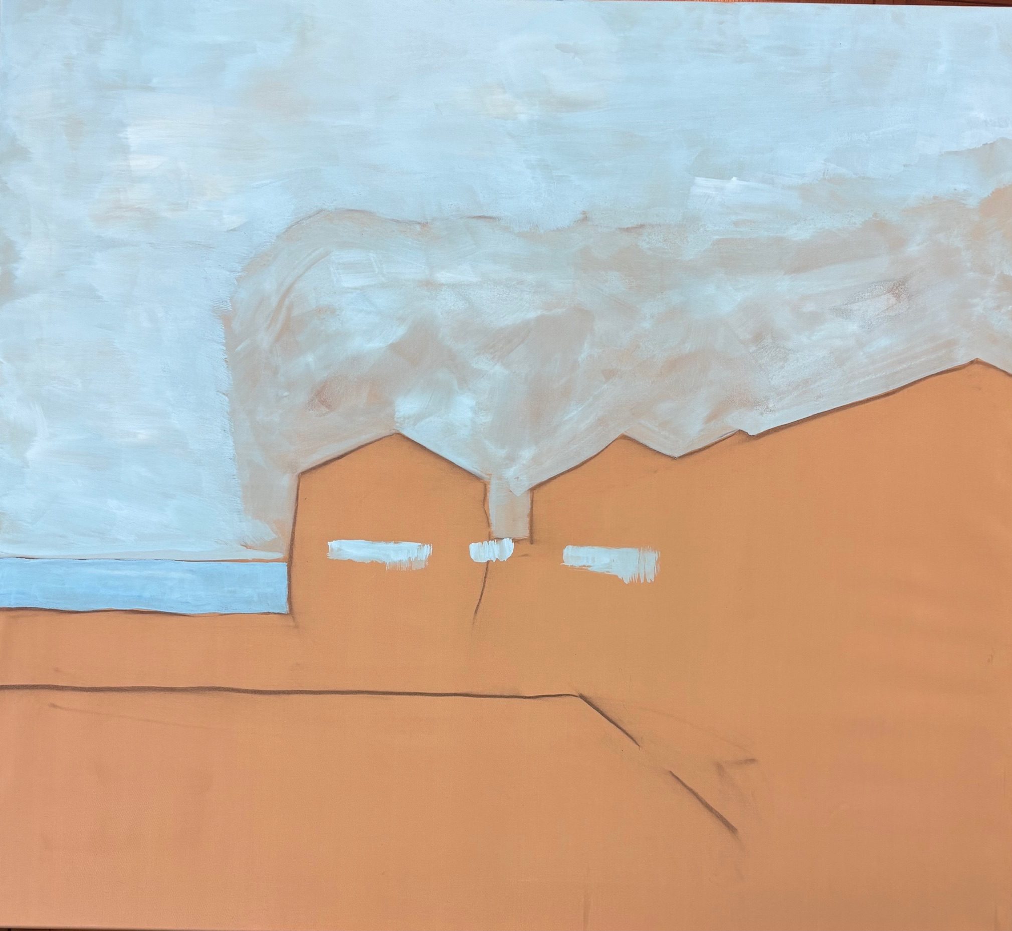 Acrylic on a large canvas: 100x110cm