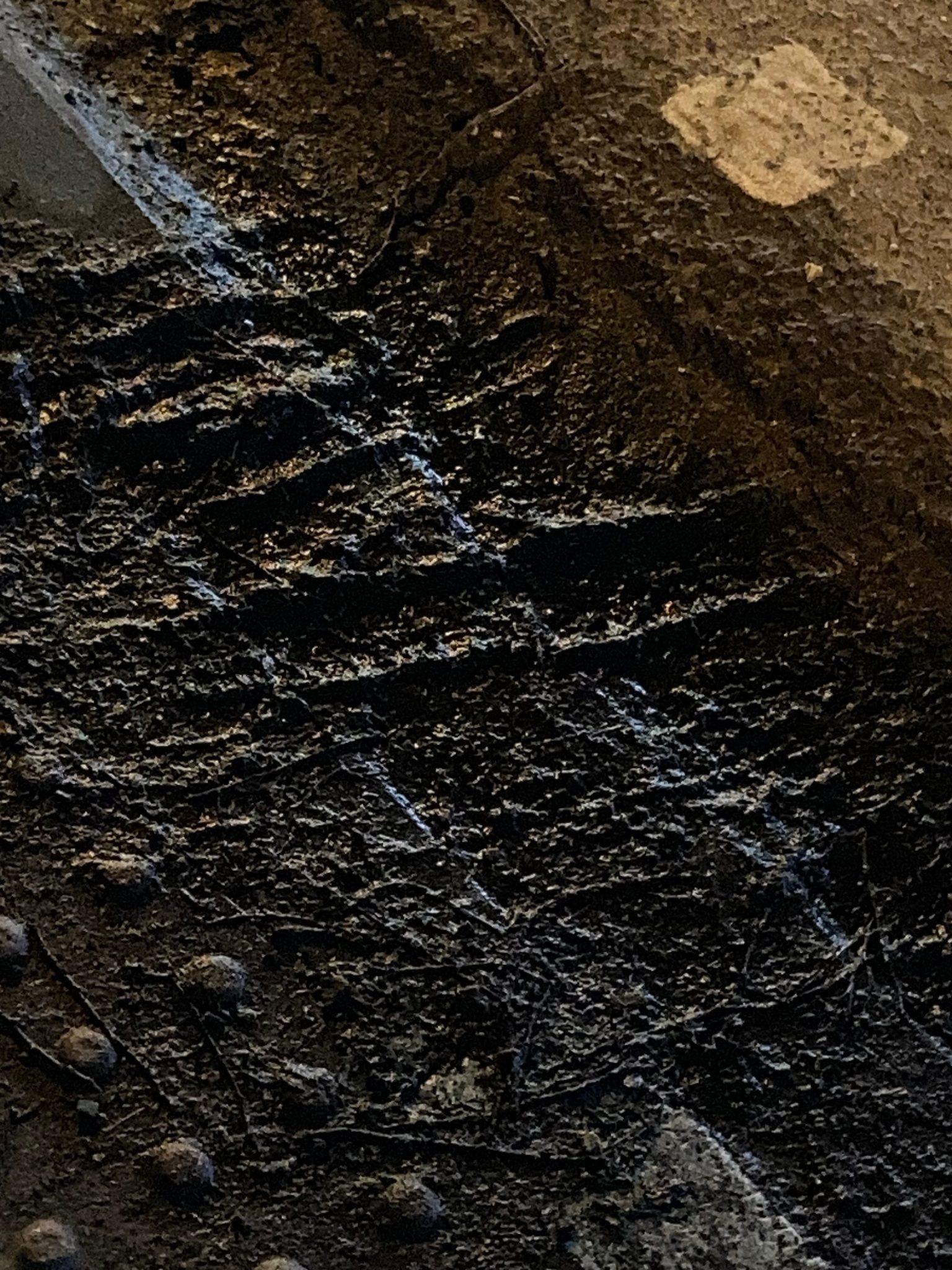 a photo of the road near a pelican crossing of tyre marks from a car left in the mud. at night time, lit by street lamps