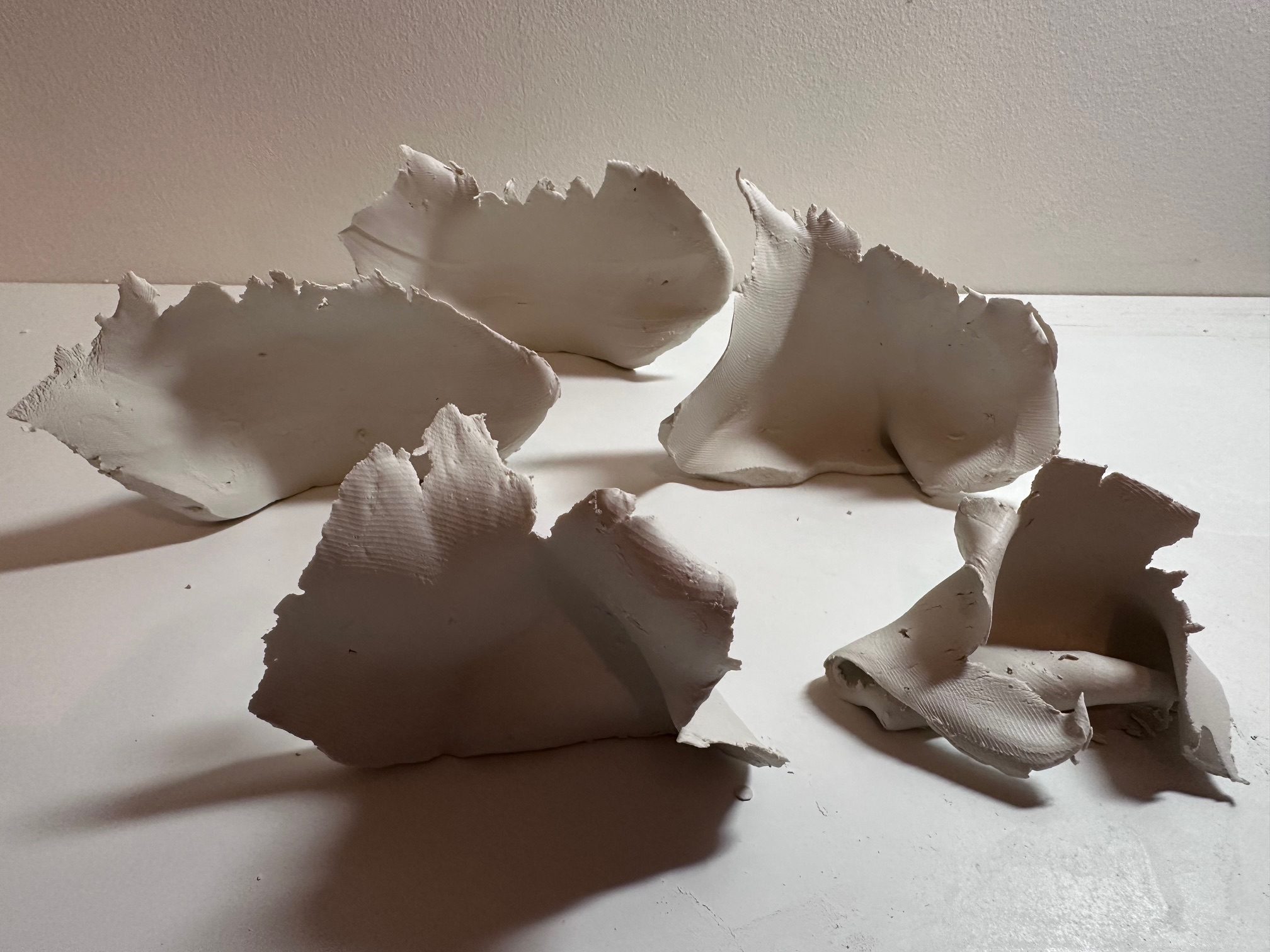 I sliced a thin section from a clay mass with a wire. Due to its softness and reduced thickness, it deformed under its own weight. The edge appeared finely serrated.