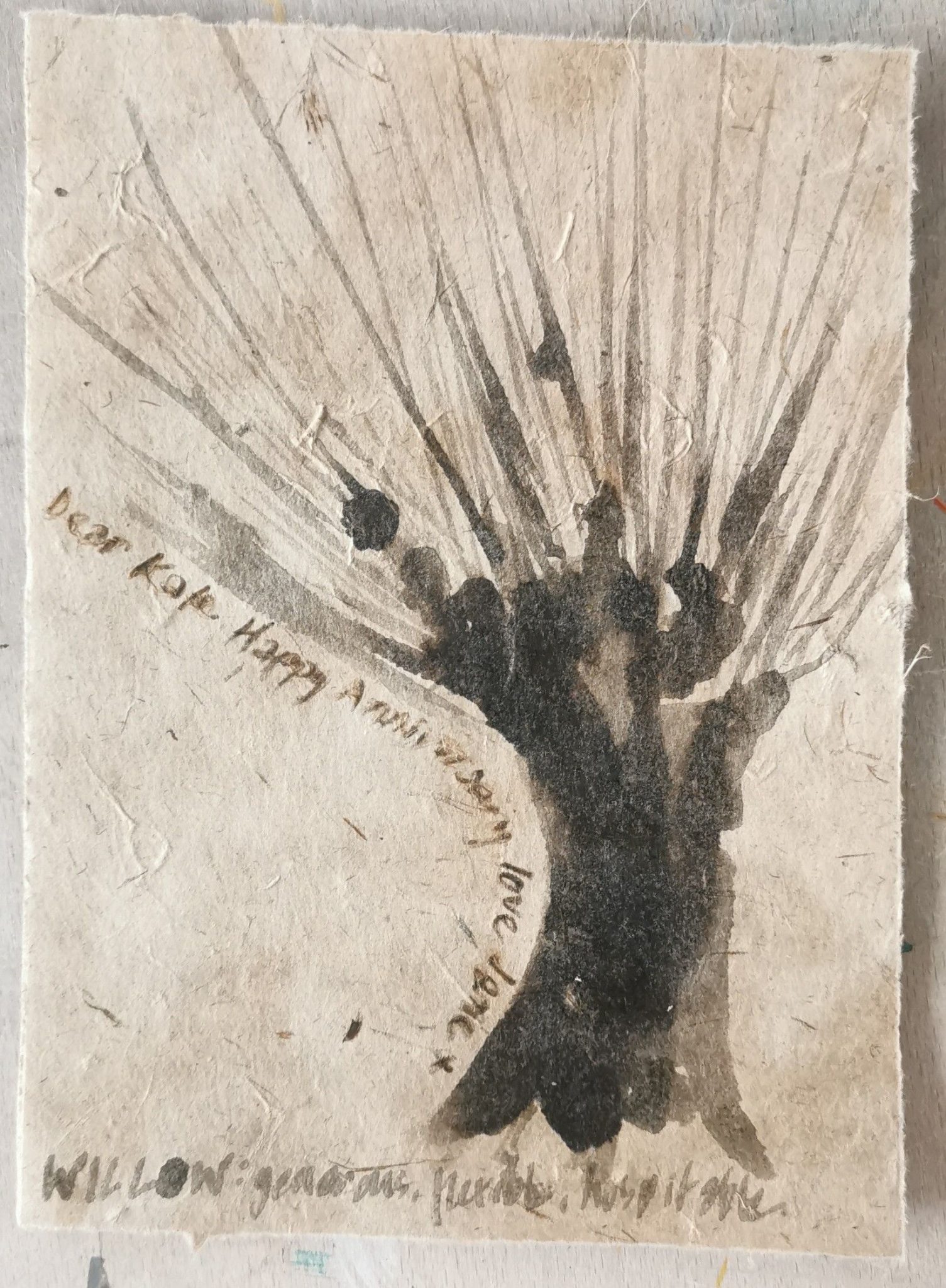 Drawing of a willow tree in winter