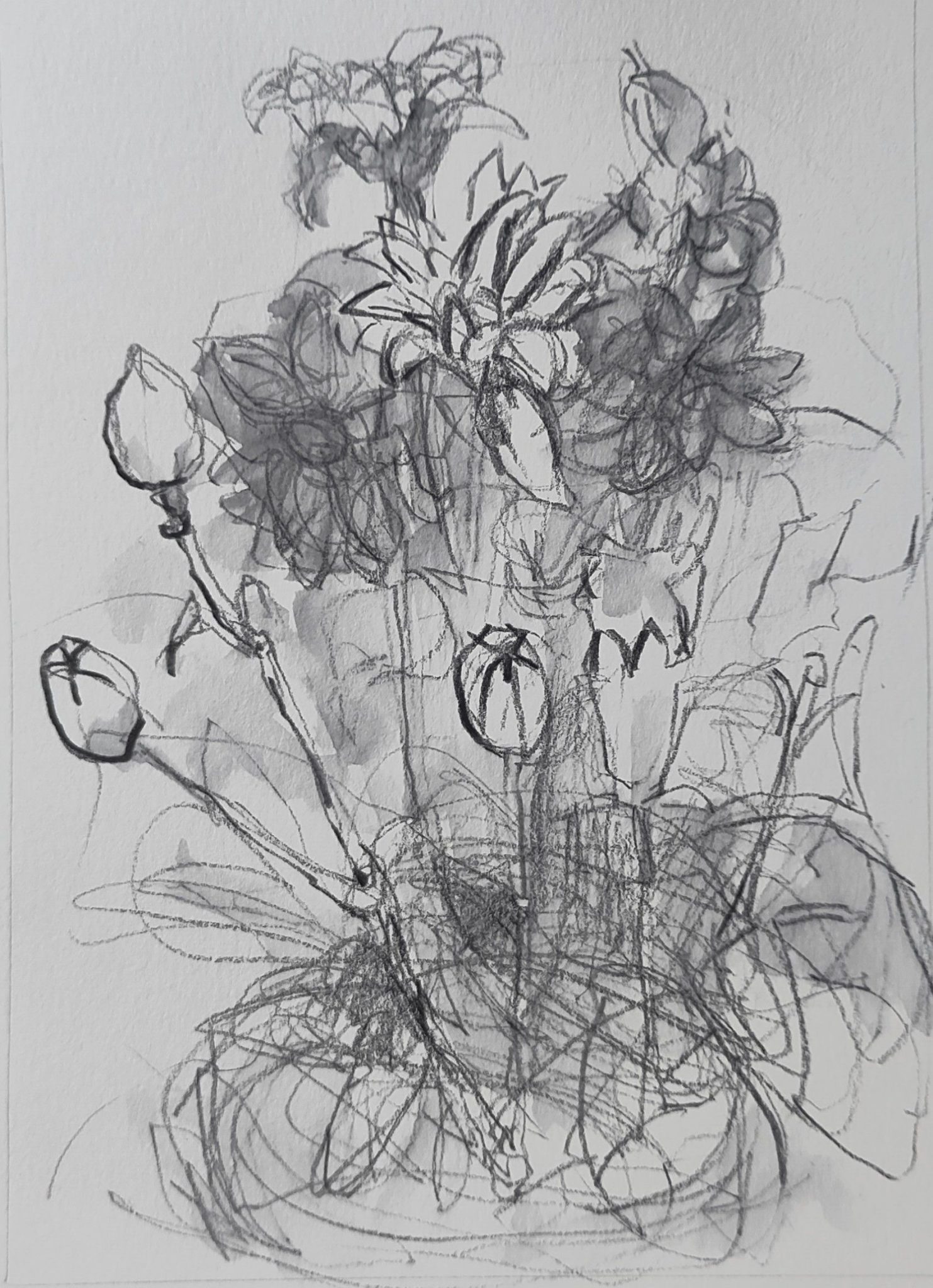 Loose drawing of a bouquet of flowers with light washes of ink