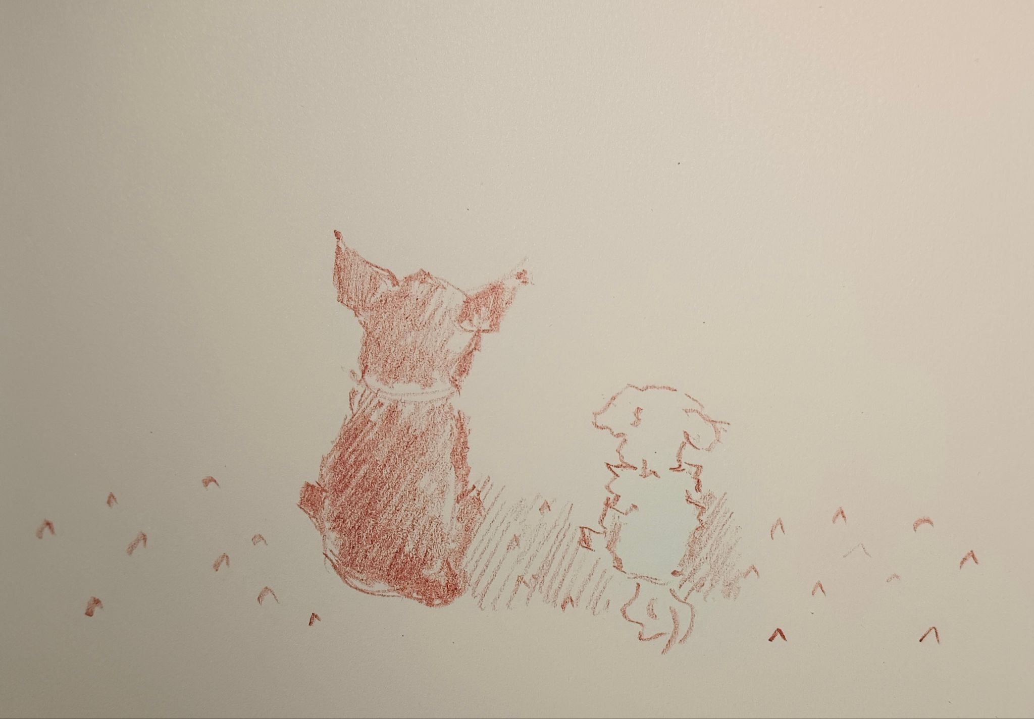 two dogs drawn from the back, sitting by each other , looking upfront at the world. red chalk on paper
