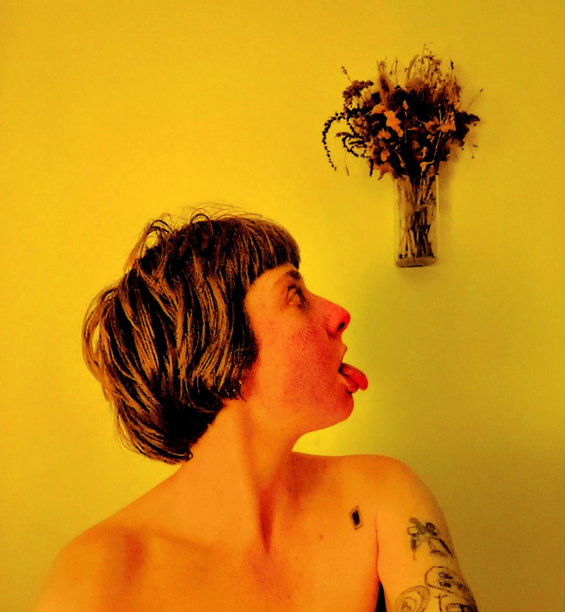 Photo of evershonk face in side profile with tongue sticking out looking to the top right corner of the image where a bouquet of dried flowers suspended in top right corner of image, the image is washed yellow.