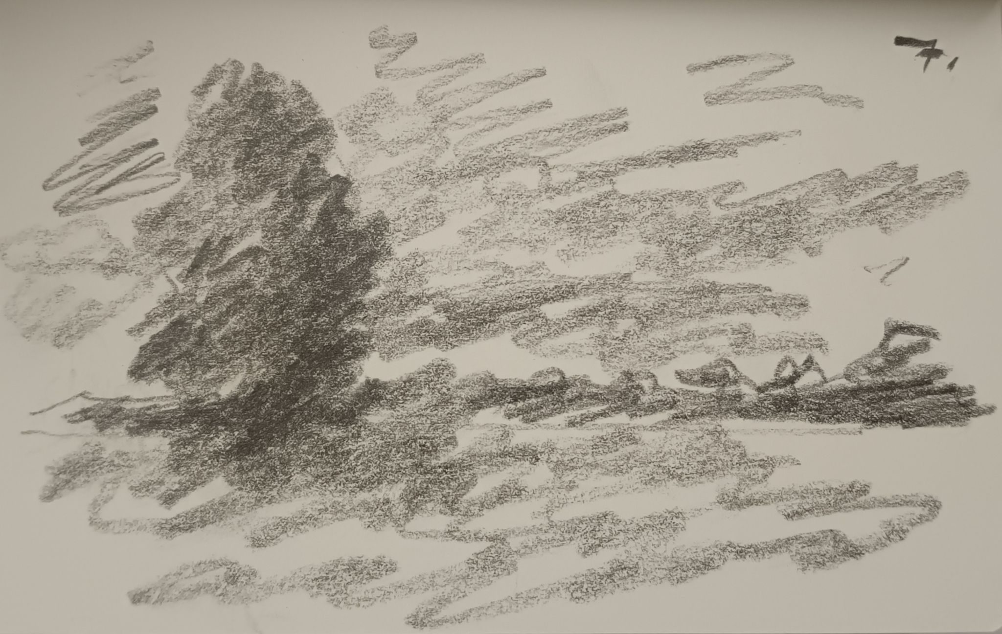 Drawing of a tree on a meadow. behind the tree in the distance on a horizon is a forest and the sky is full of clouds. expressive, pencil on paper