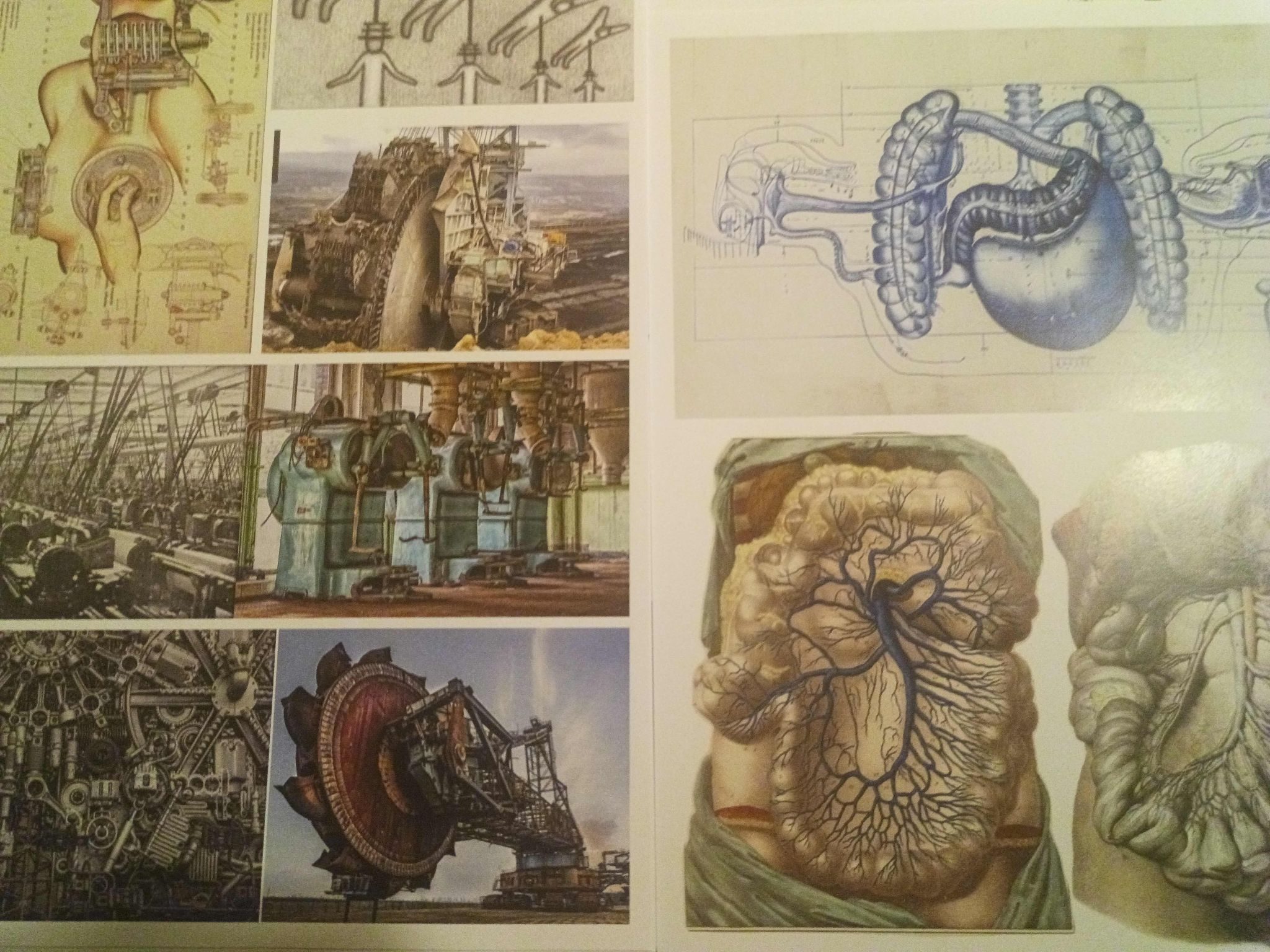 Collection of resources including anatomical drawings and machinery