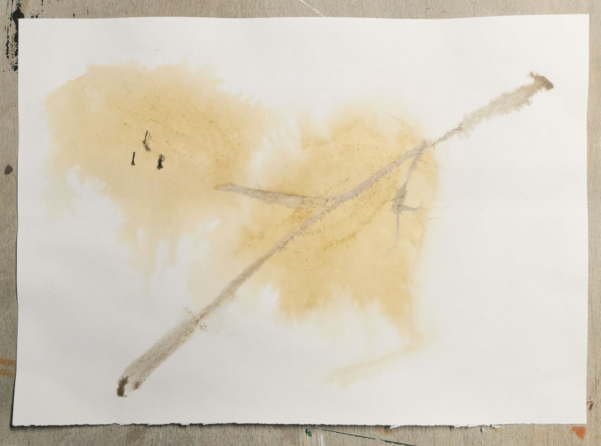Ink drawing in wet paper of 2 alder seed heads on a twig