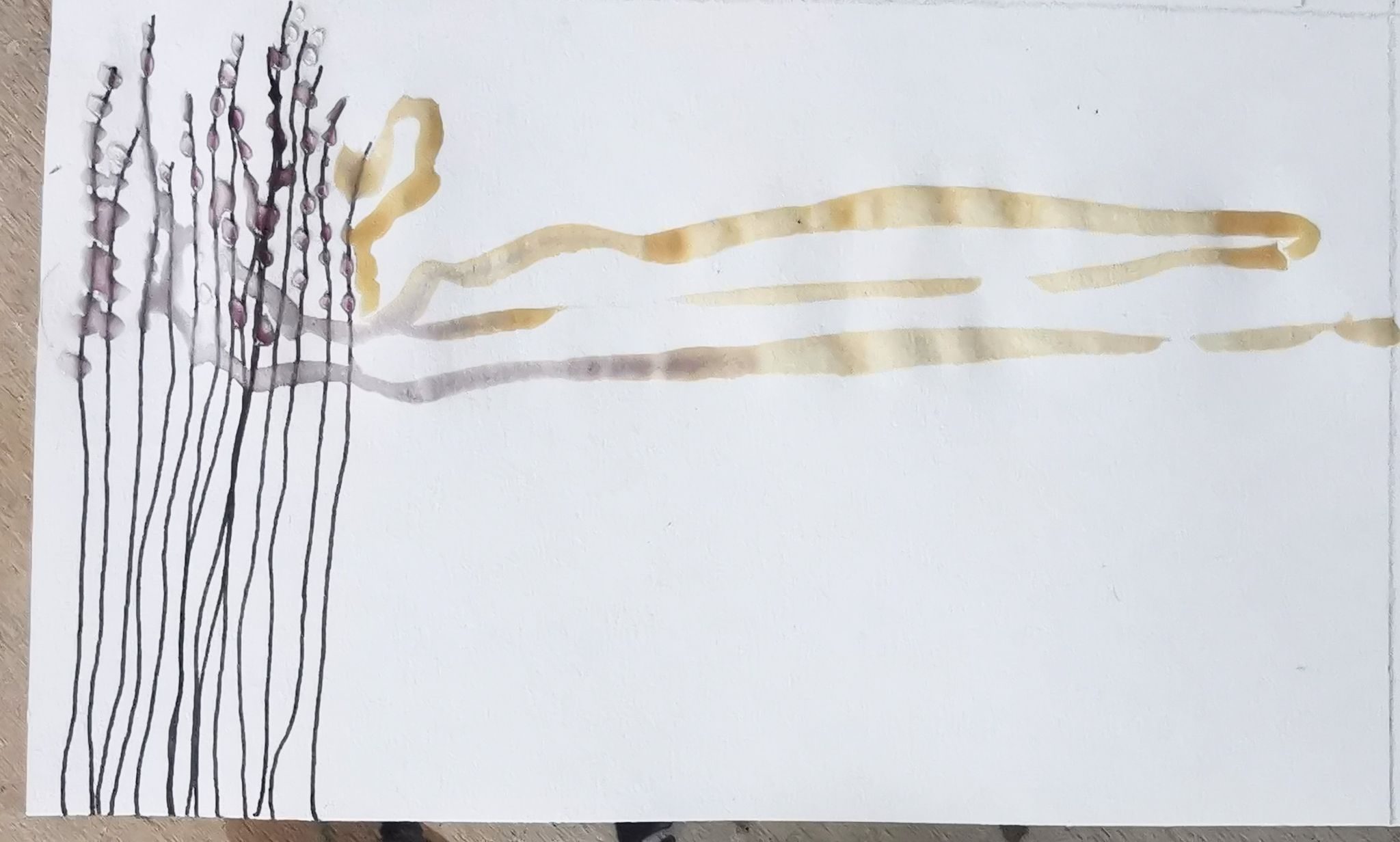 Ink drawing on paper with vertical lines to the left and a meandering horizontal line going across line