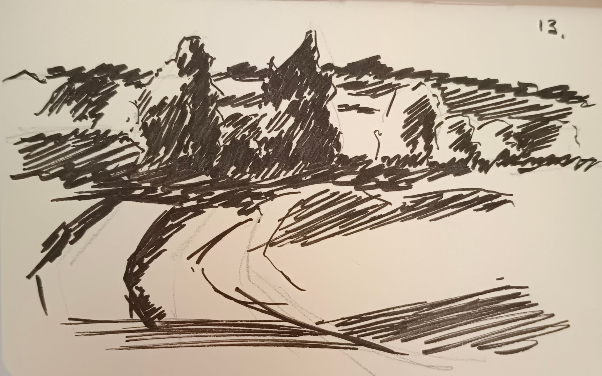 drawing of a path that leads to some trees and disappears. behind that couple of trees is a forest. marker brush on paper