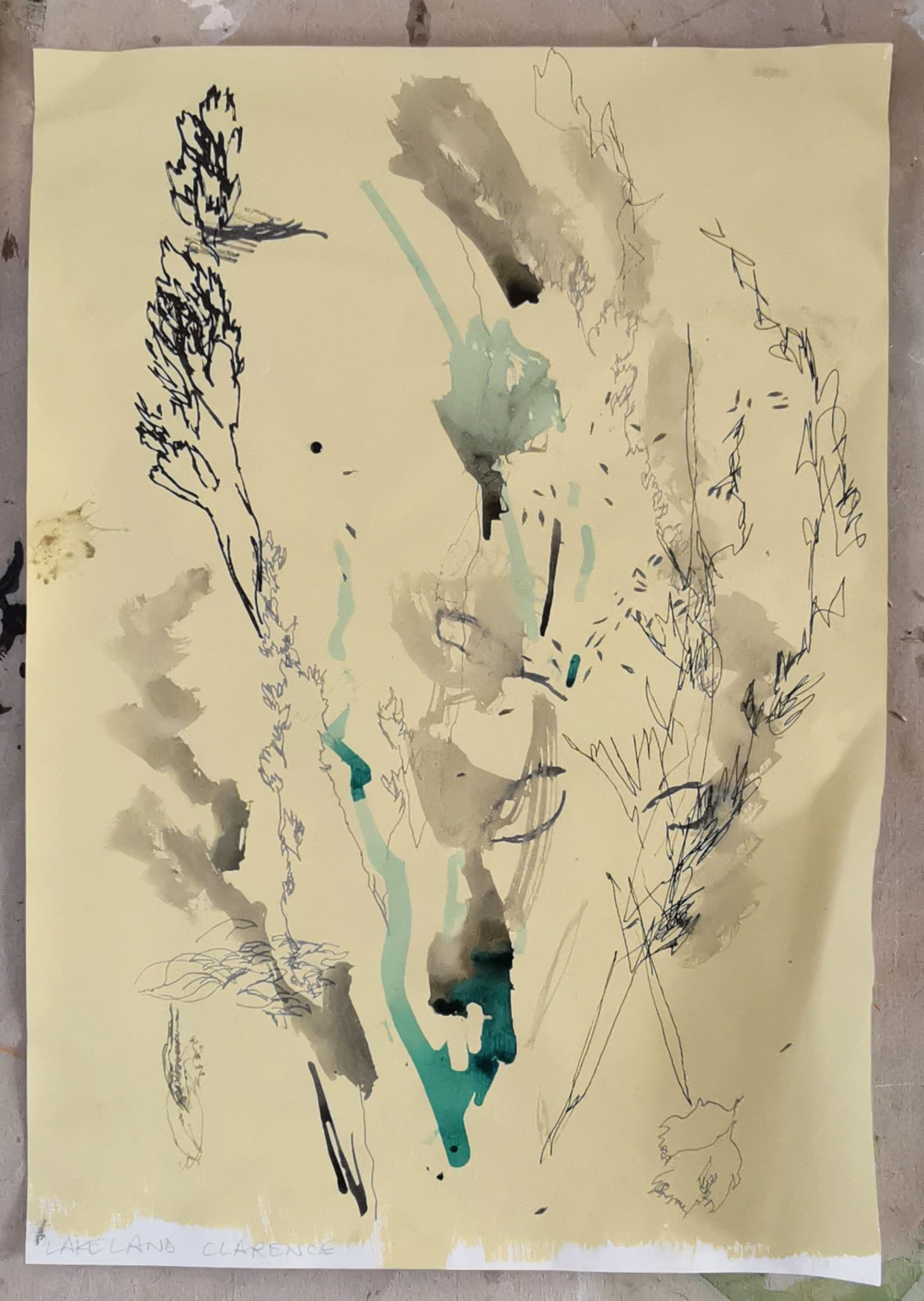 Multi-layered drawing of grass seed heads on paper using different inks, paints and pencil