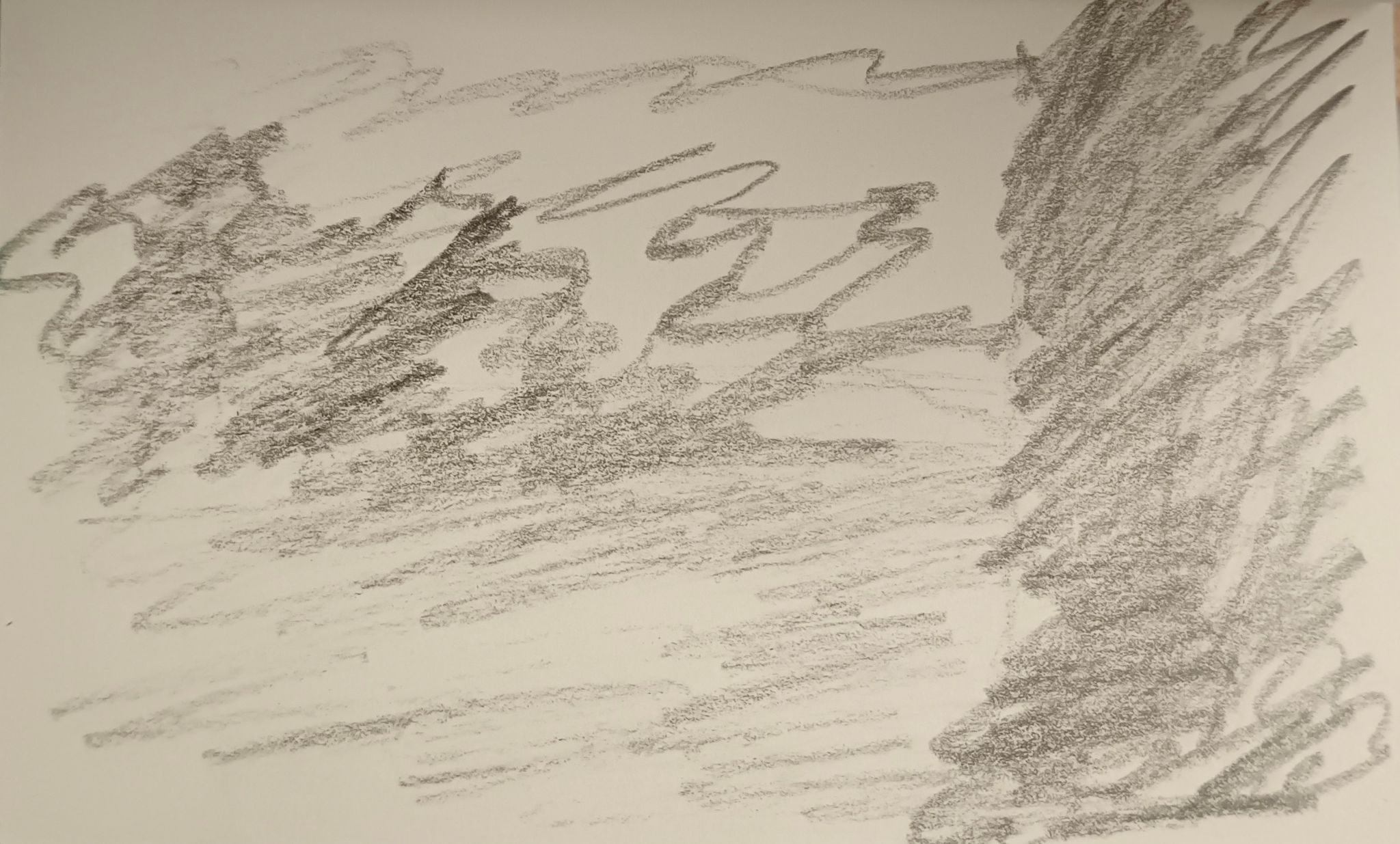 drawing of a messy, kinda abstract landscape. pencil on paper