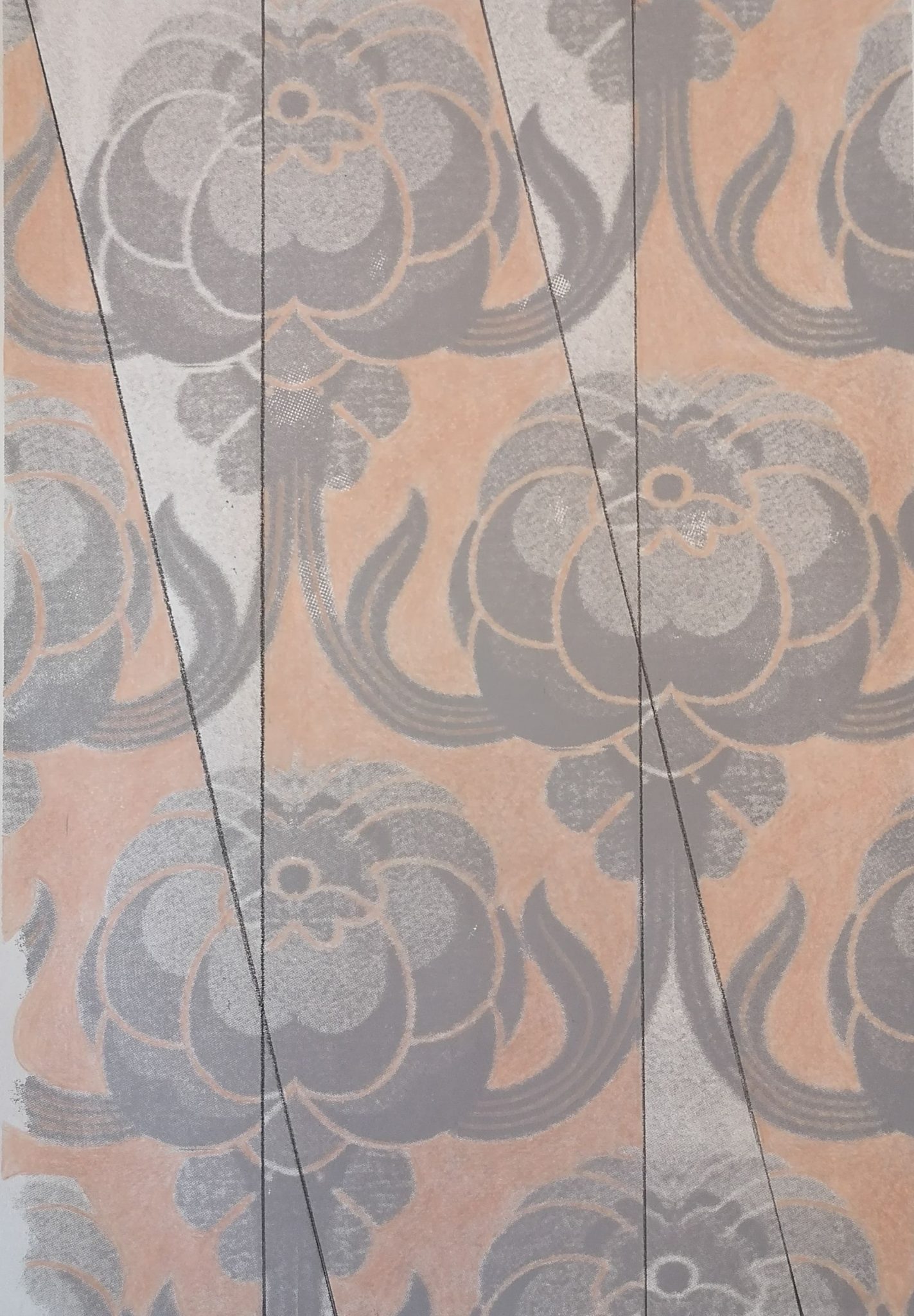 Colour pencil on screenprint on paper