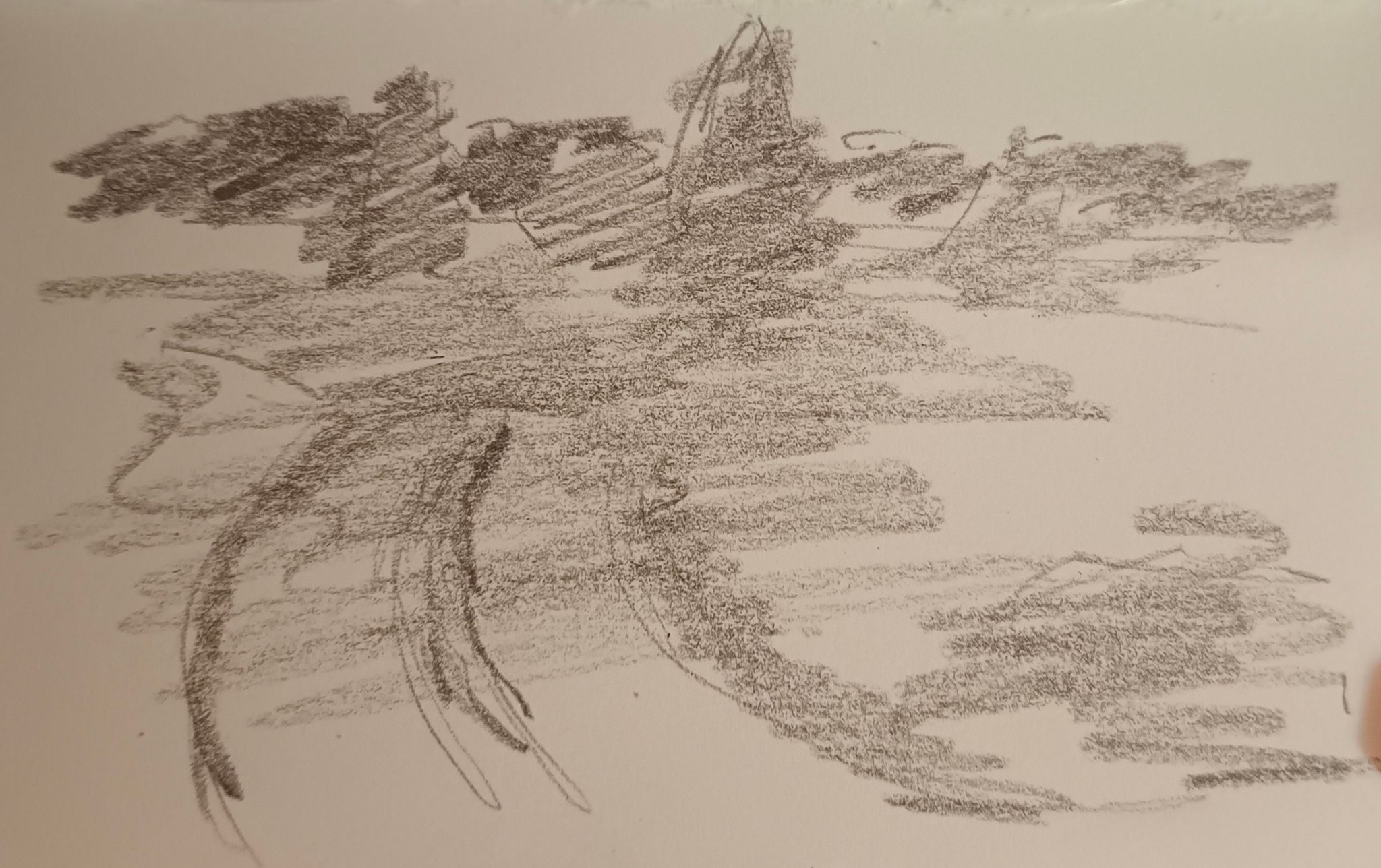 drawing of a path leading to a forest. pencil on paper