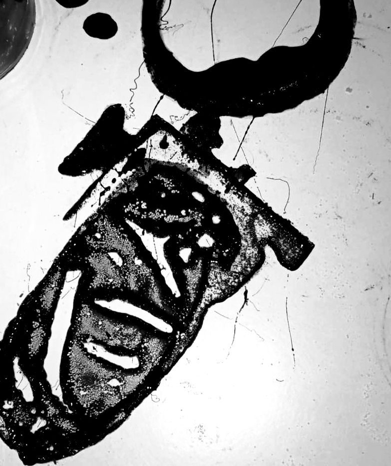 An interesting shape made by spilled soy sauce