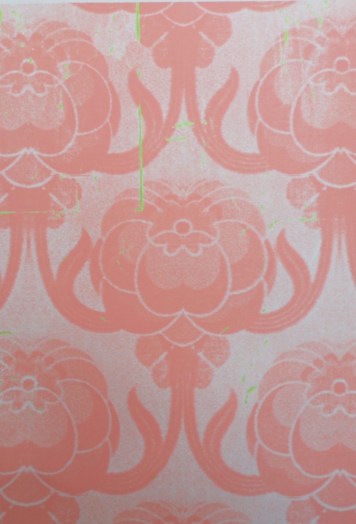 Colour pencil on screenprint on paper