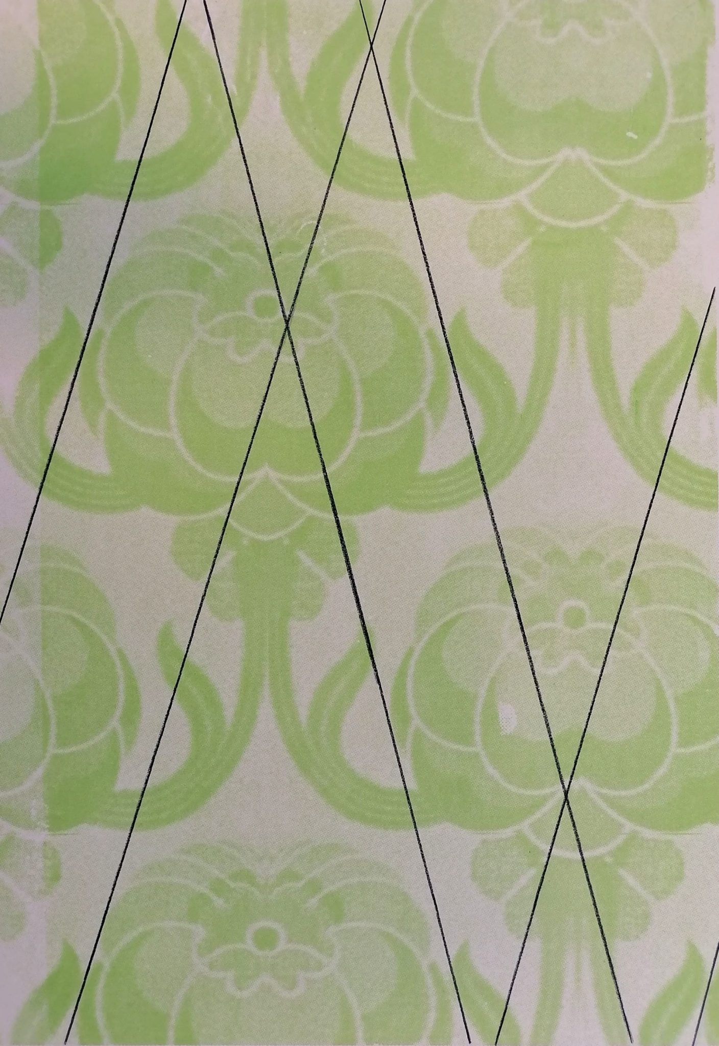 Colour pencil on screenprint on paper