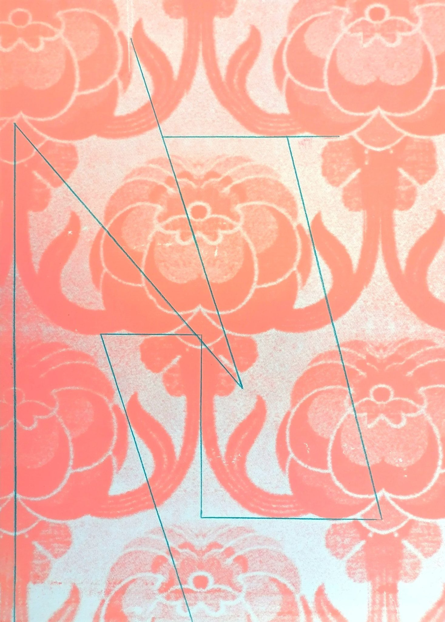 Colour pencil on screenprint on paper