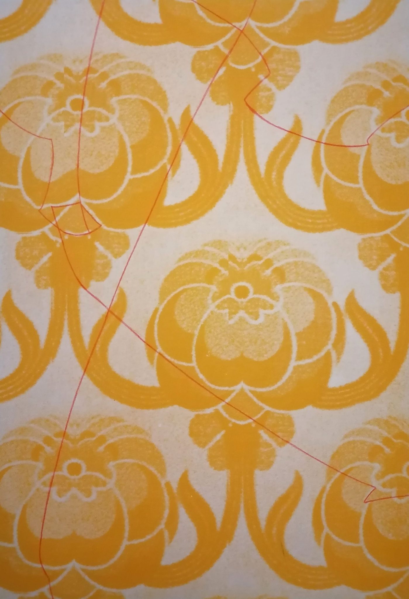 Colour pencil on screenprint on paper