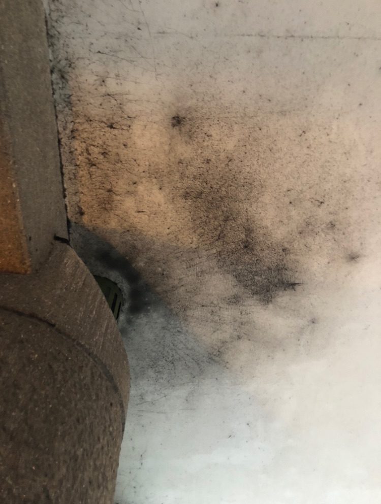 cobwebs with dust and dirt over a Gilbert link bridge ceiling.