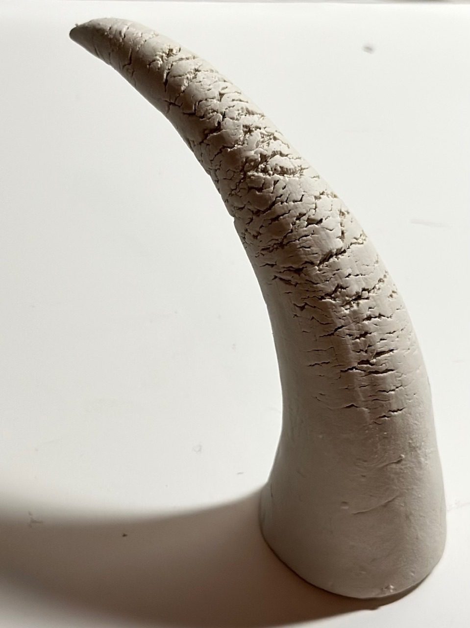 I worked with a hardened clump of clay. It had lost most of its plasticity, so shaping a horn and bending it was difficult without breaking it. As I carefully bent the clay, cracks started to appear on its surface