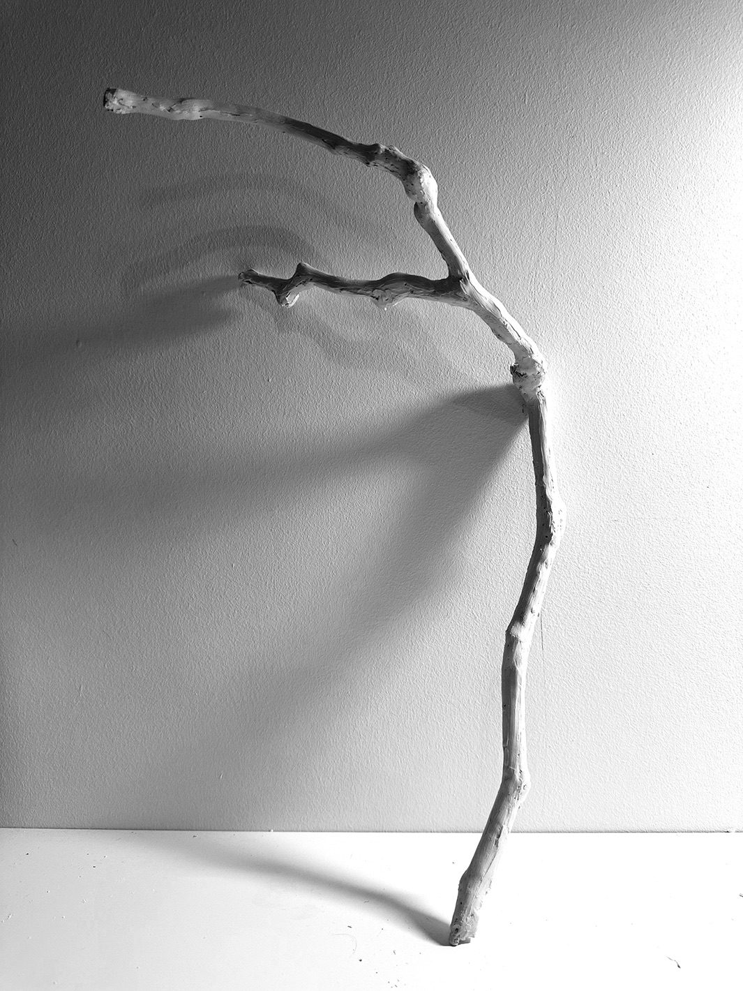 I picked up a branch in the park. I brought it home and covered it with porcelain. When I photographed it, light and shadow formed across its surface, and the branch became a sculpture.