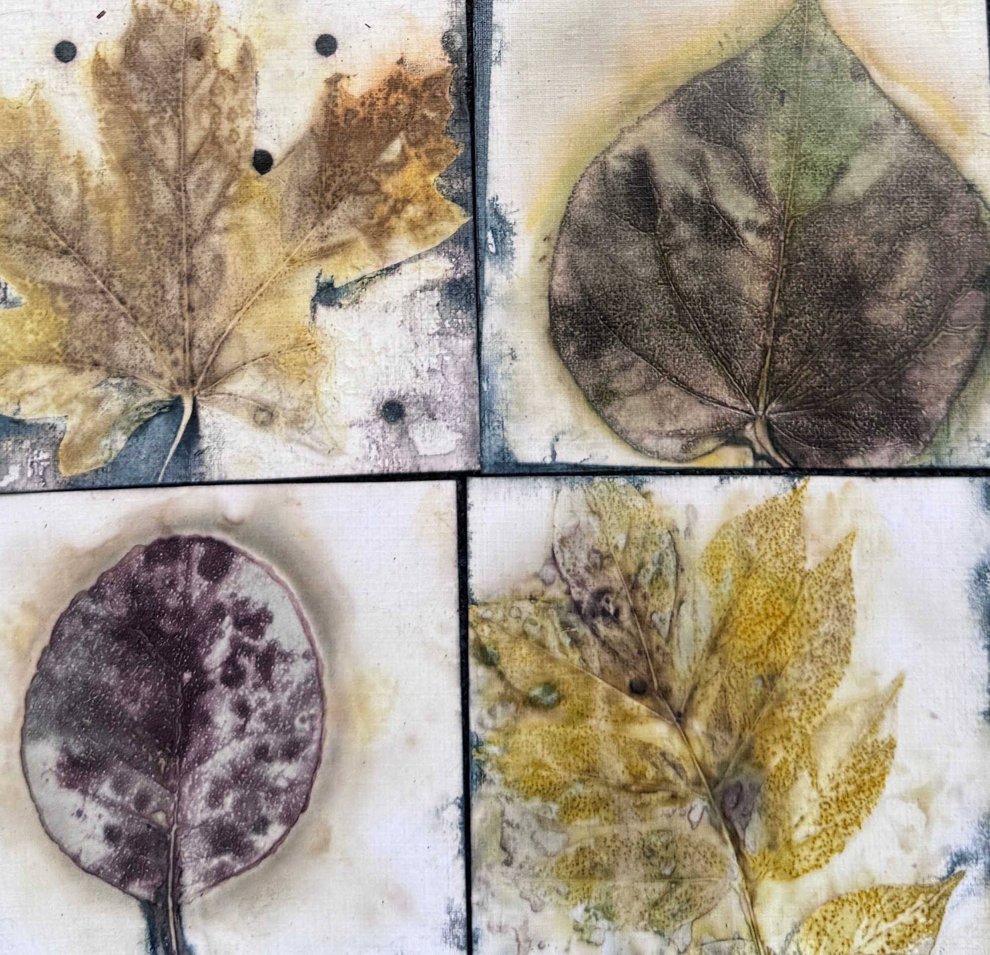 Eco printed leaves on paper, joined to form a flag.