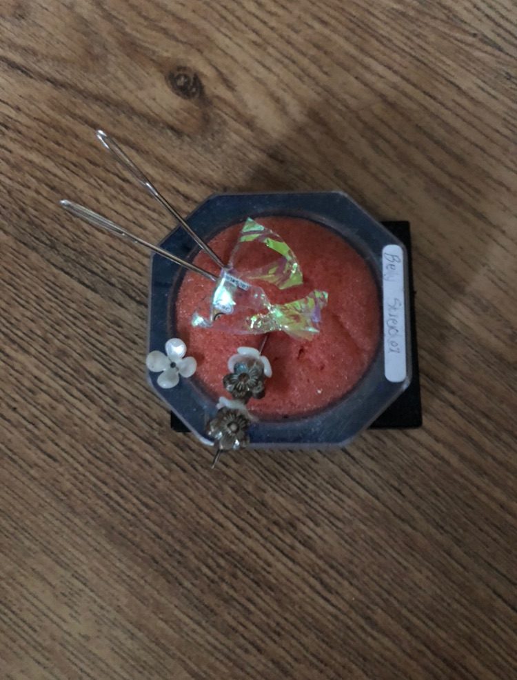 blue plastic with faded orange sponge, pin cushion with beads, irridescent sweet wrapper and pins. perhaps attractive to a magpie