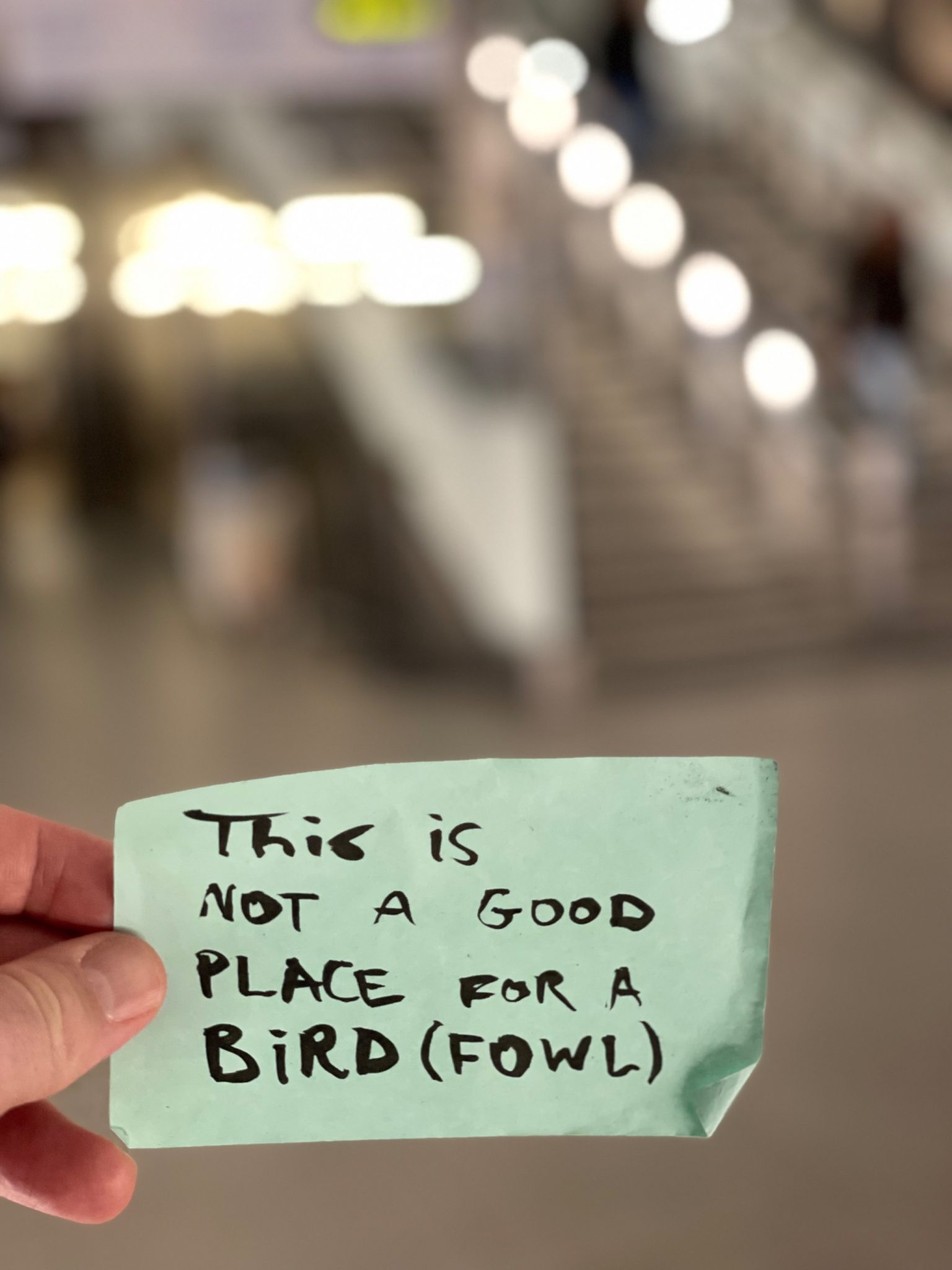 A photo of a post-it note that says ”this is not a good place for birds (fowl)”
