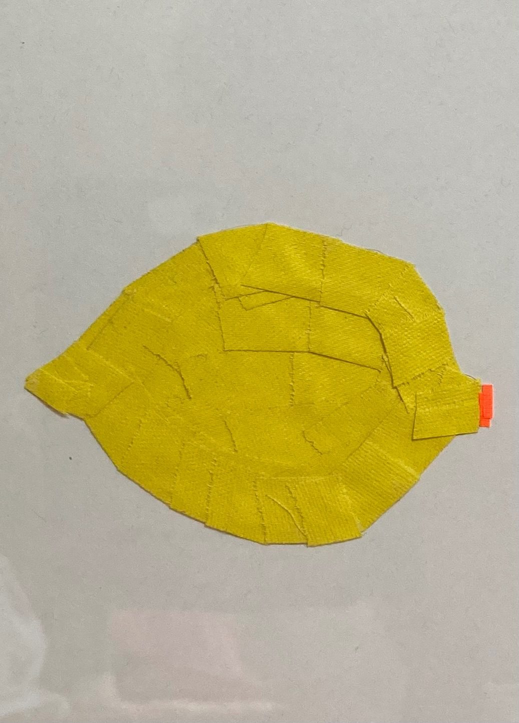 Yellow tap lemon with an orange apex on right side