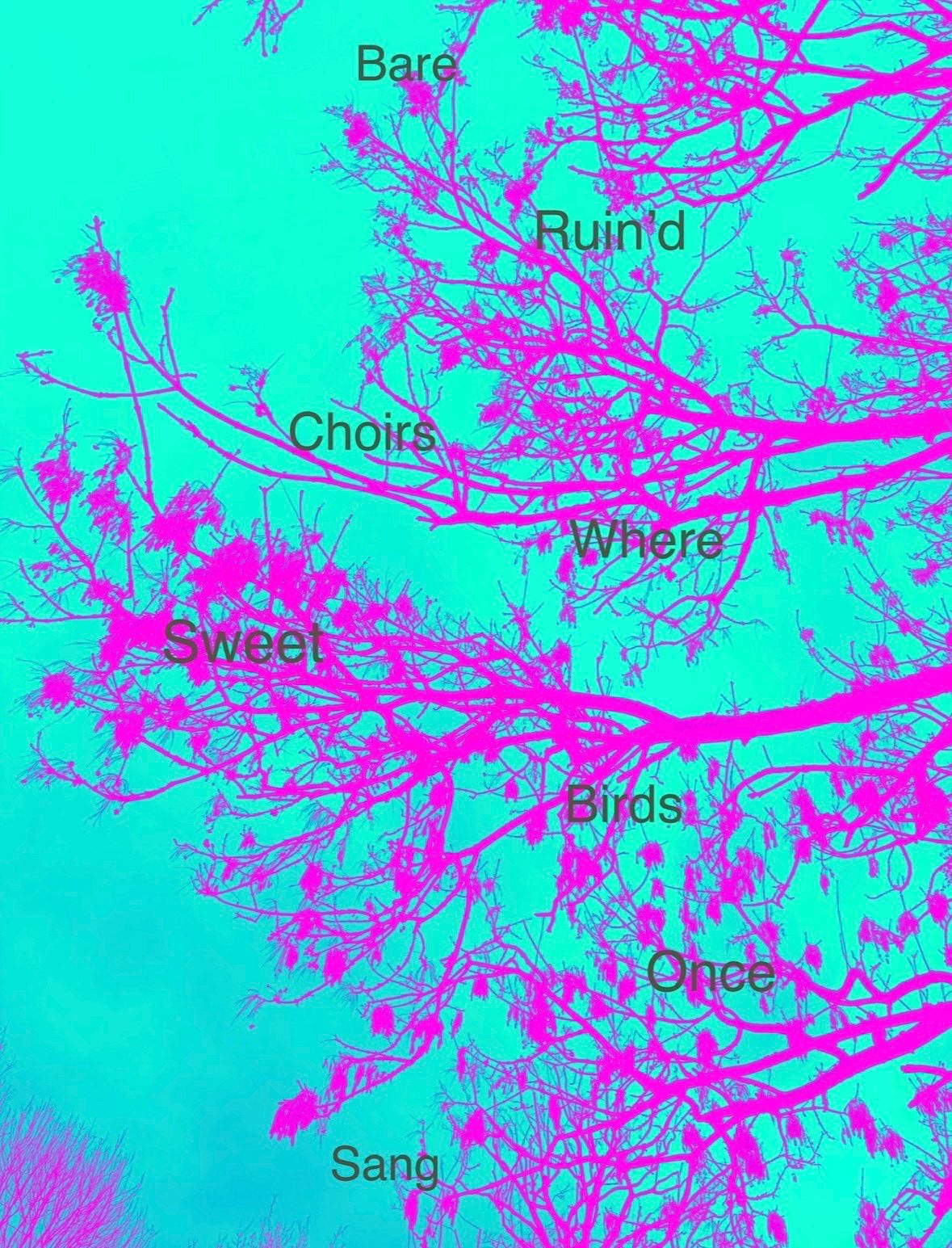 A poem overlayed on a bright tree