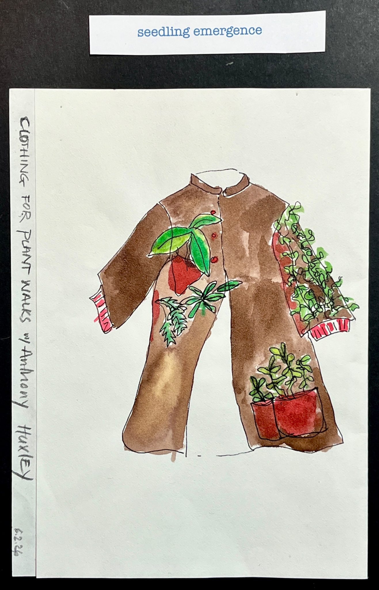 colored drawing of coat, plants growing in pockets, with text
