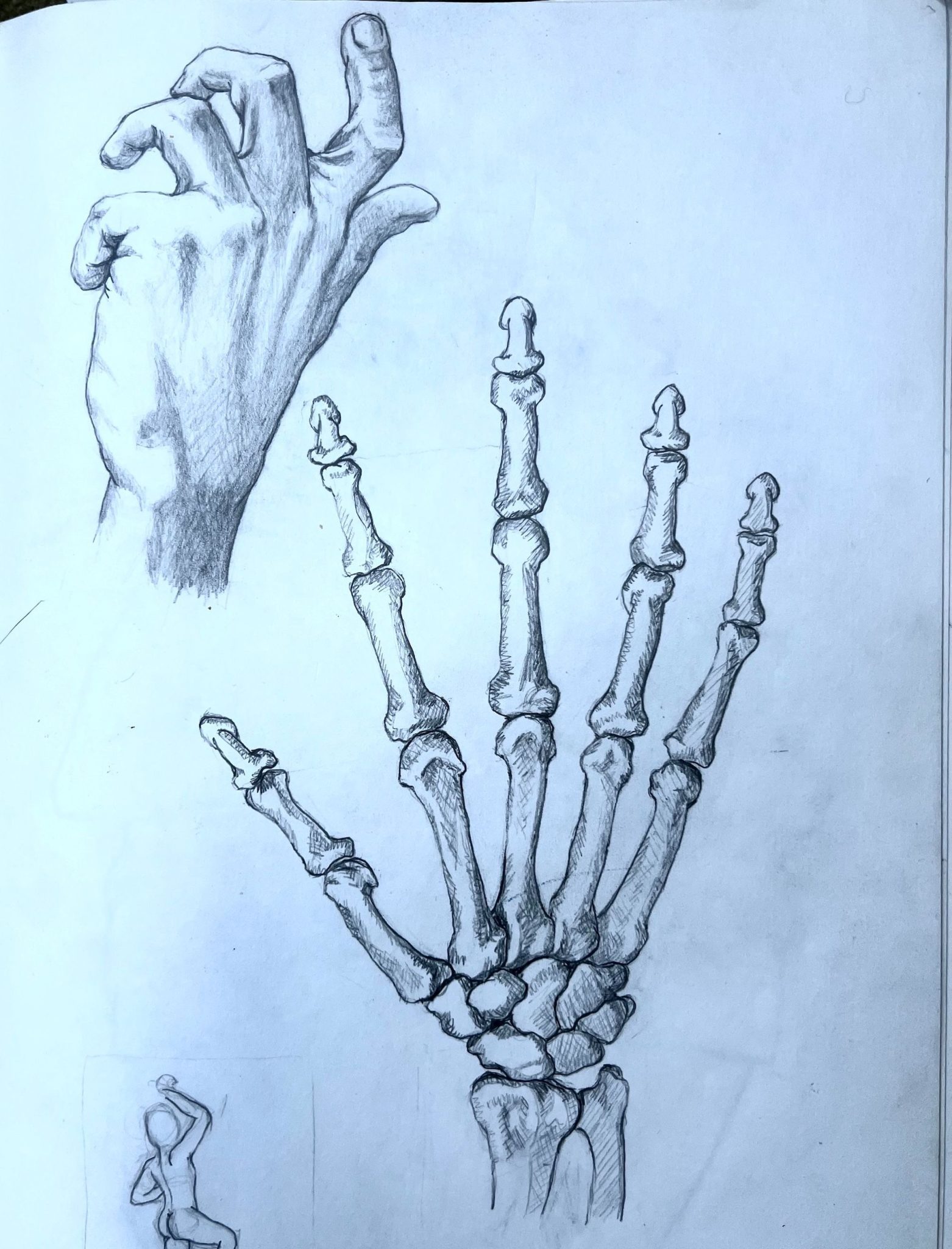Pencil drawing of study of hand and hand bones.