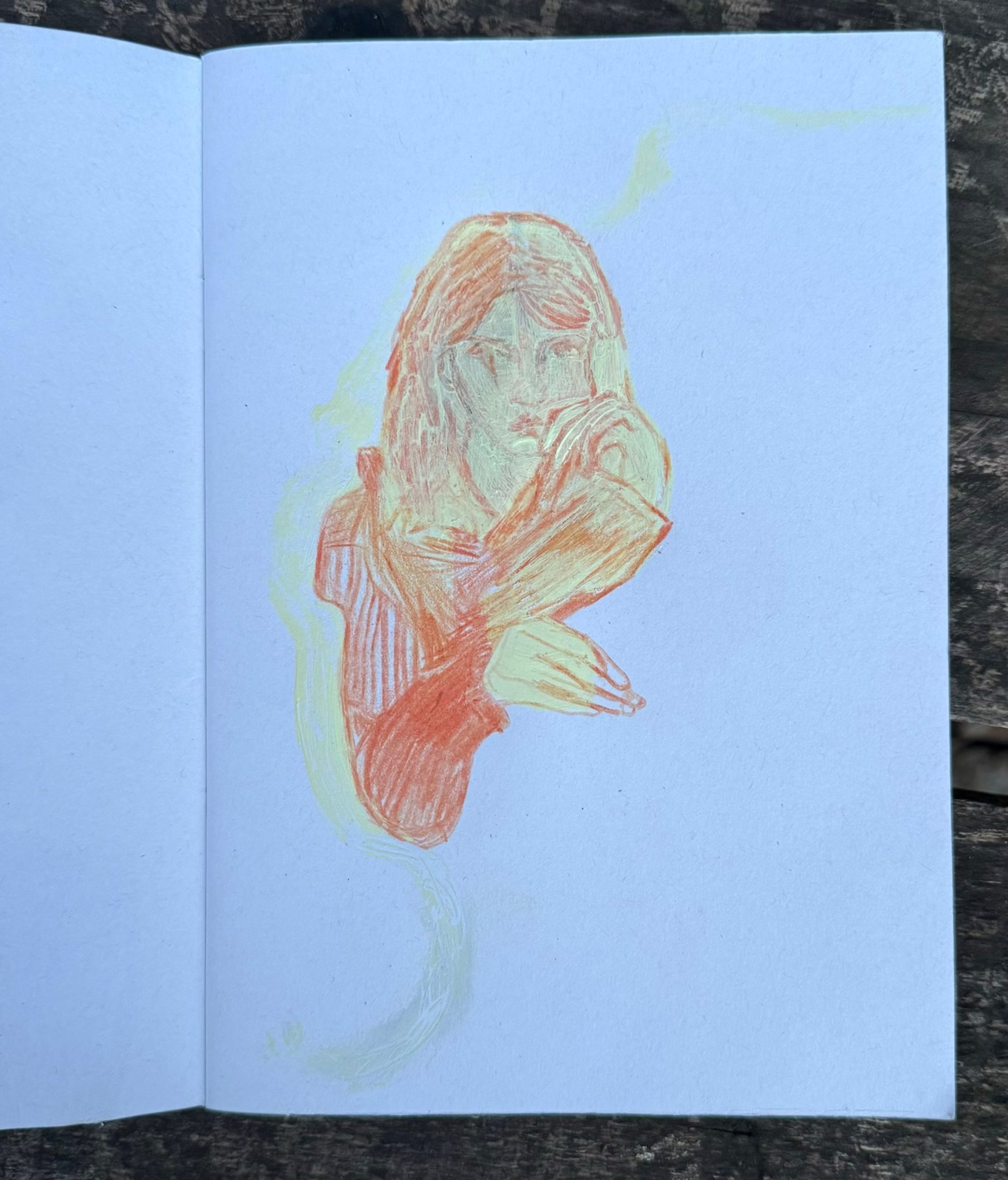 Pencil crayon, tip-ex, acrylic on paper