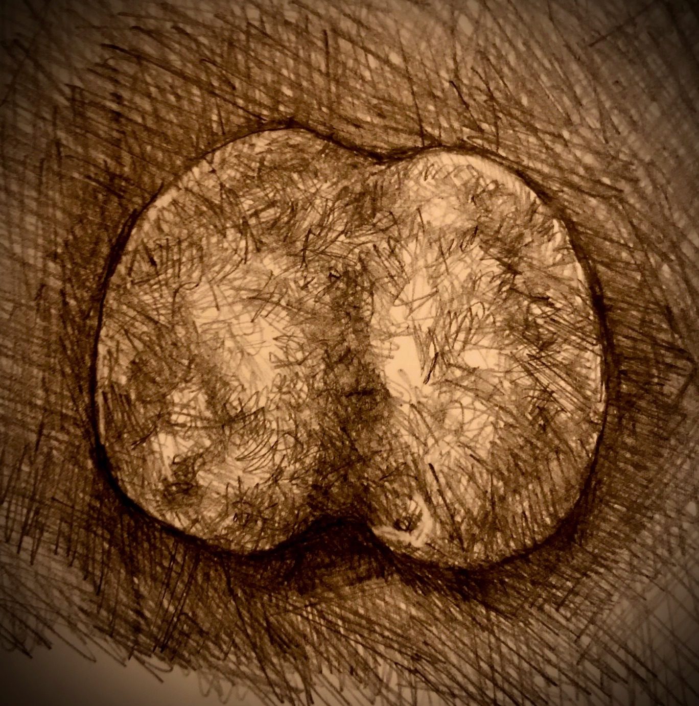 Graphite pencil drawing of a potato