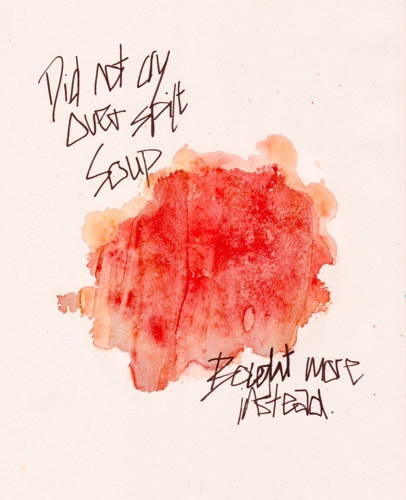 Tripped up the stairs and dropped my soup which went everywhere. It was on club card price for £1.80.