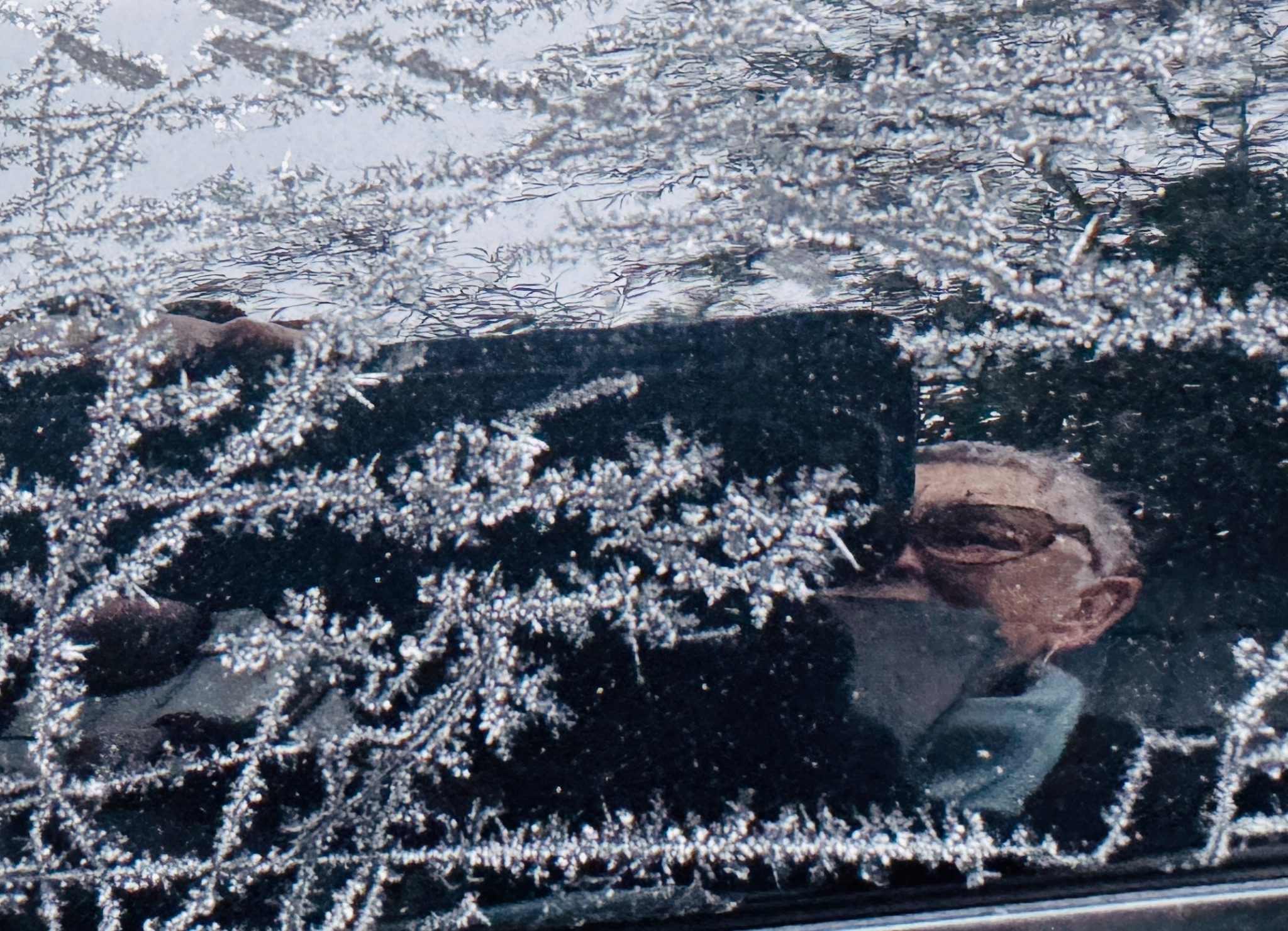 Frosty morning in Limburgerhof!