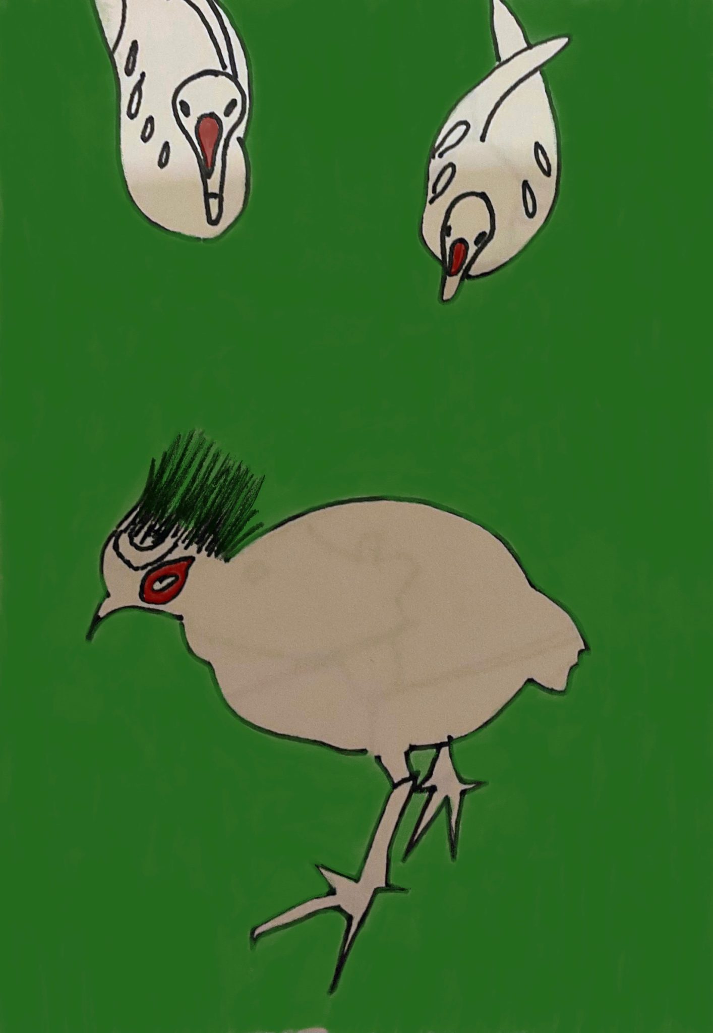 Black ink pen sketch of 3 birds, 2 sat in the background and one stood at the front, surrounded by a vivid green background. Each bird has a touch of red.