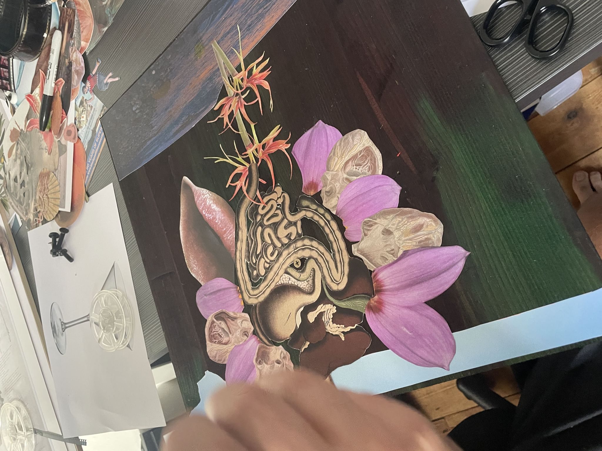 Hand working on a collage