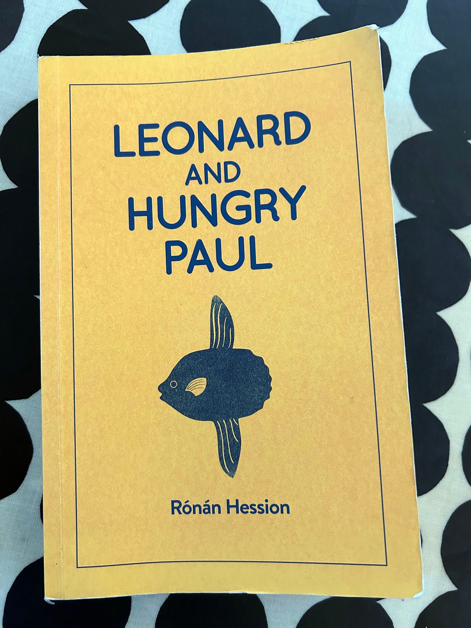 Front cover of a book