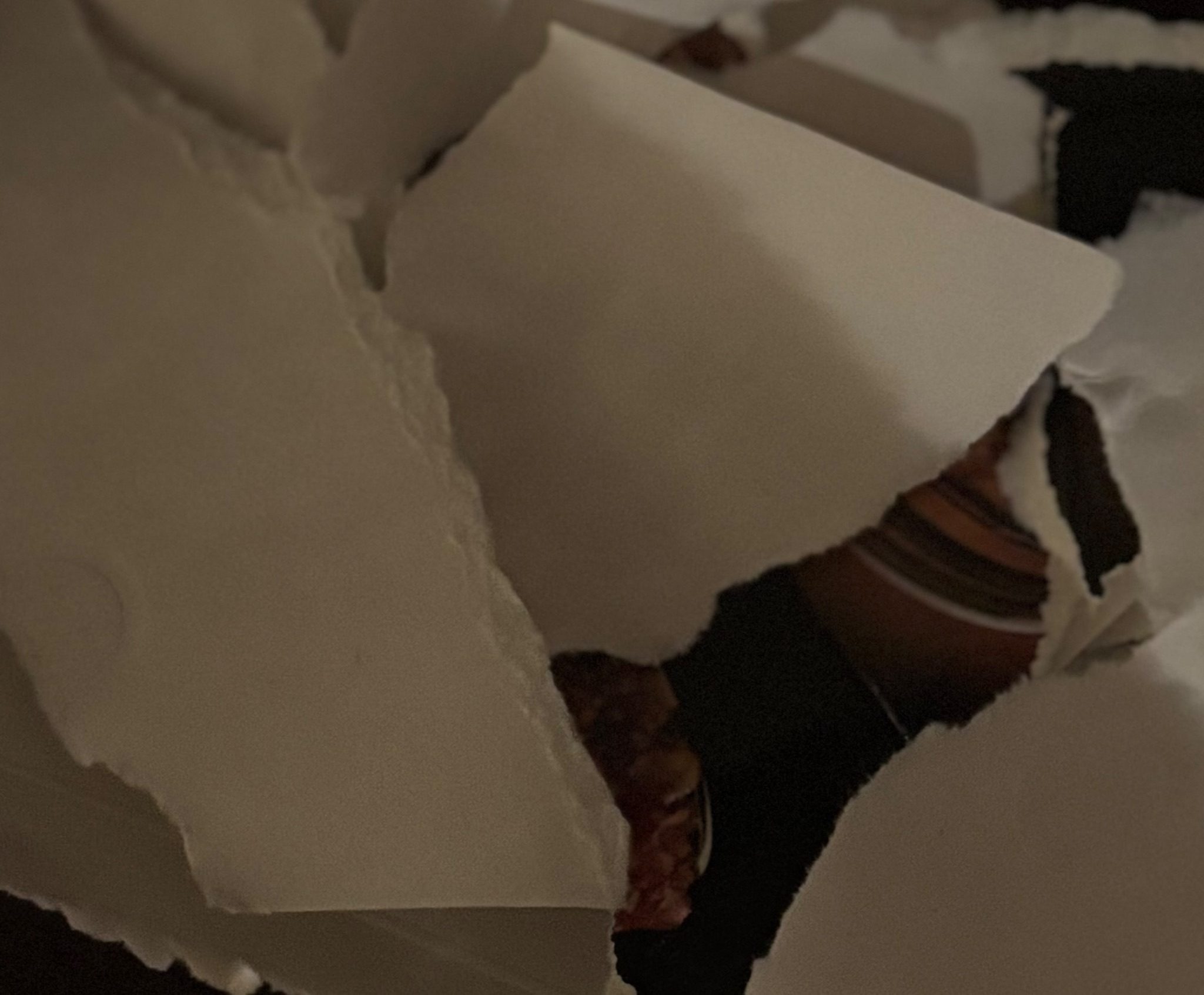 Picture of torn up paper