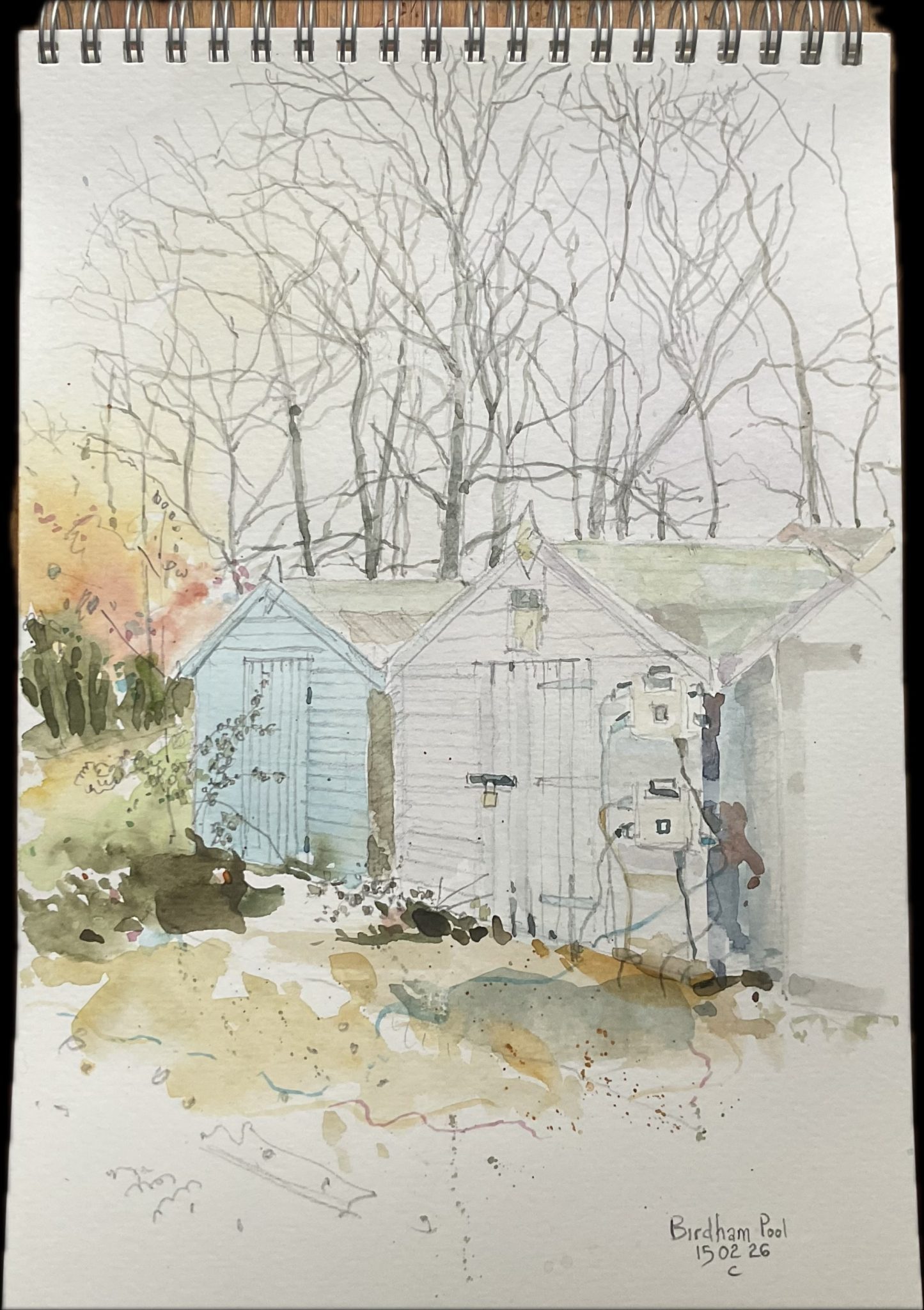 2 x wooden sheds, a backdrop of deciduous trees, a beech hedge, brambles and ivy