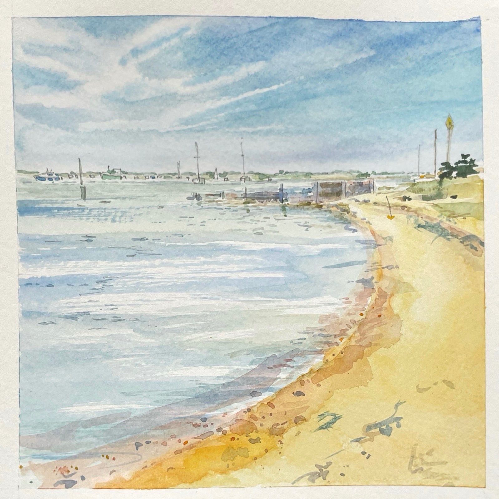 Wispy Cirrus, a sandy beach, yachts and bladderwrack