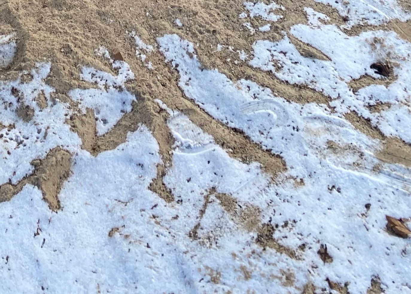 drawing  in snow
